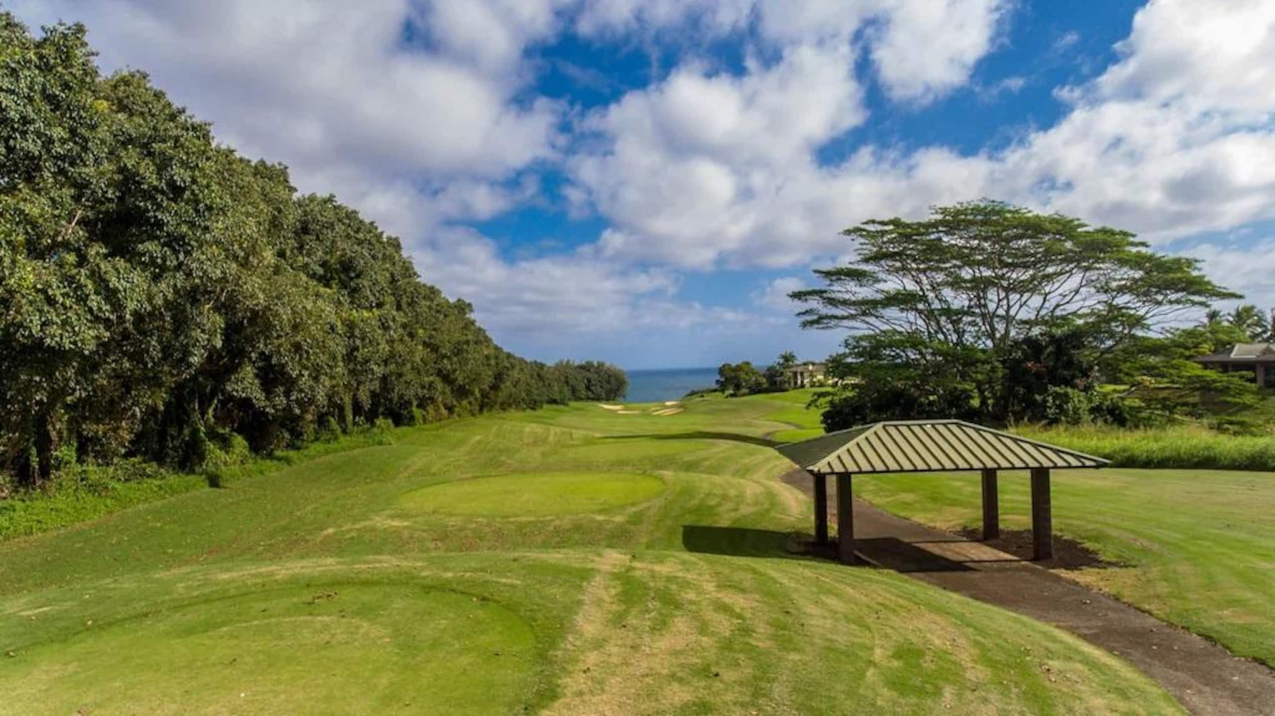 Condo in Princeville · ★4.68 · 2 bedrooms · 2 beds · 2 private baths - Image 36