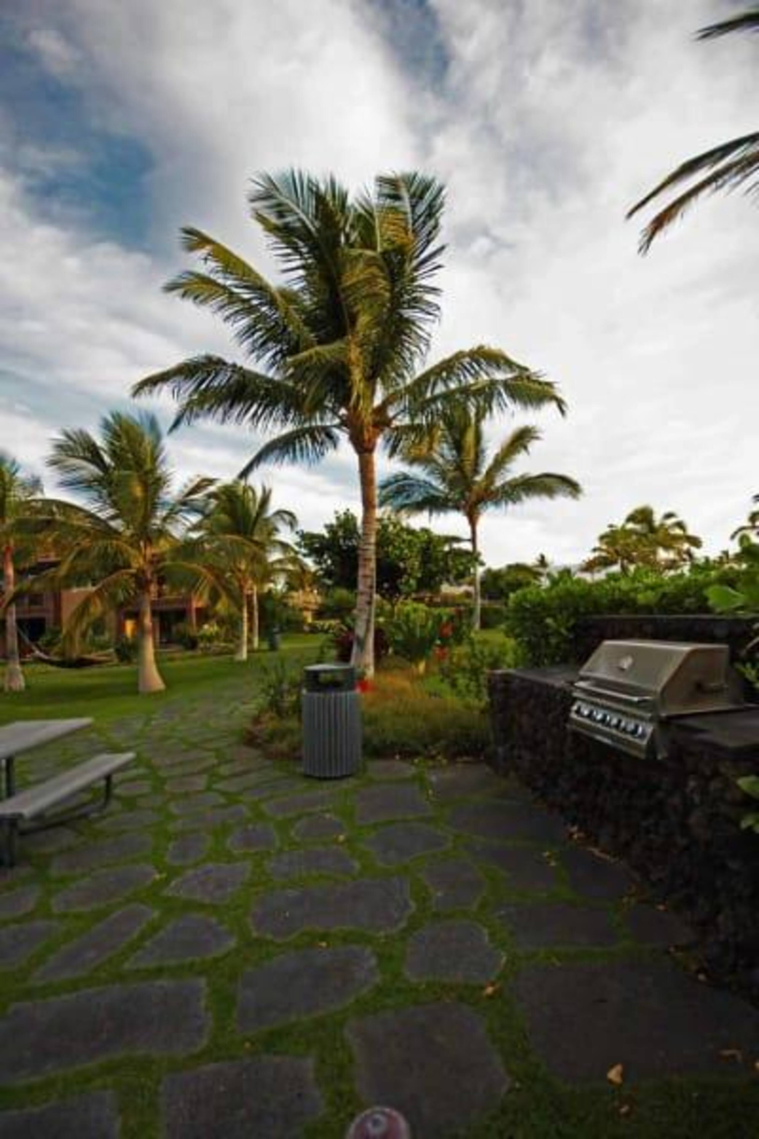 Island condo w/ pool & garden lanai - Photo 19