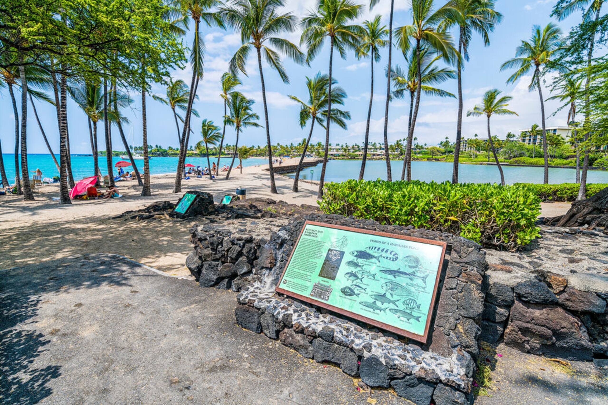 Condo in Waikoloa Village · ★4.5 · 2 bedrooms · 2 beds · 2 baths - Photo 46
