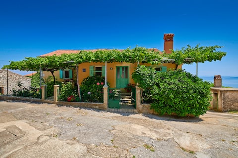 Successful Airbnb property: Snašić and Ravni - Istria - Snašić and Ravni - Appa in Općina Raša