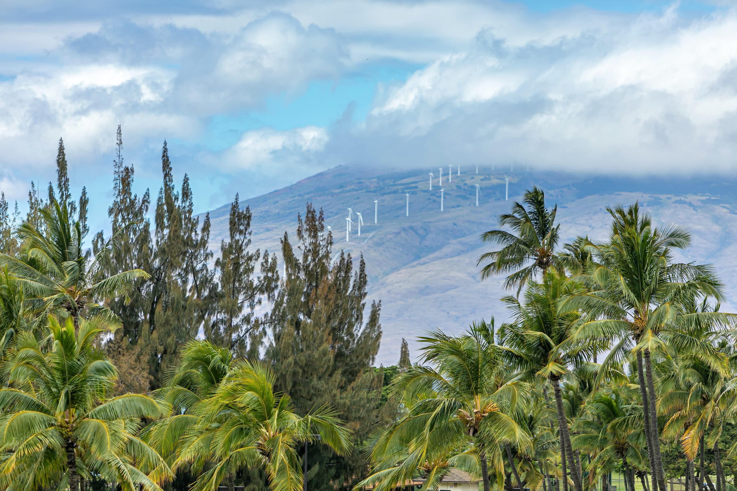 Condo in Kihei · ★4.55 · 1 bedroom · 1 bed · 1 bath - Image 18