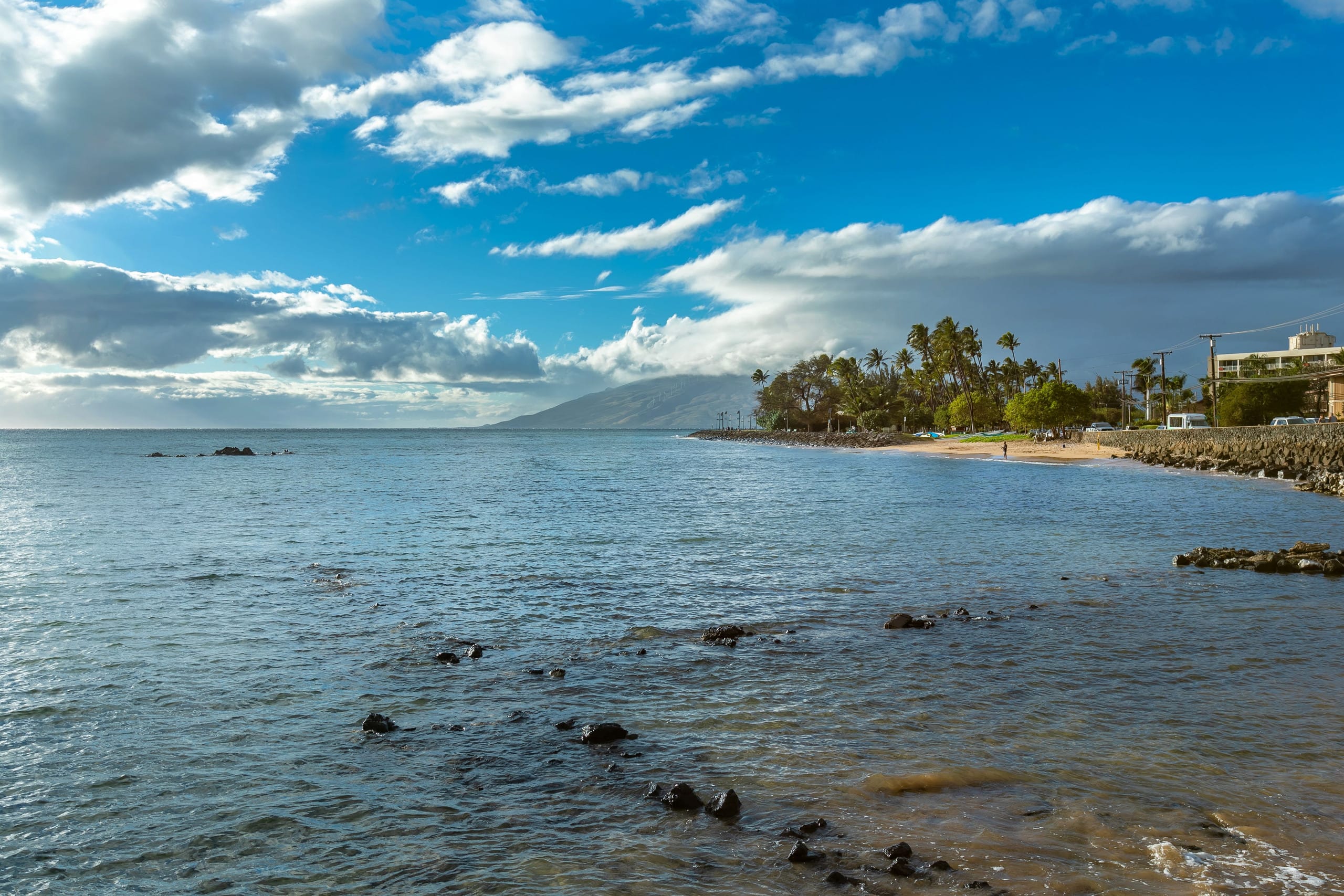 Condo in Kihei · ★4.55 · 1 bedroom · 1 bed · 1 bath - Image 21