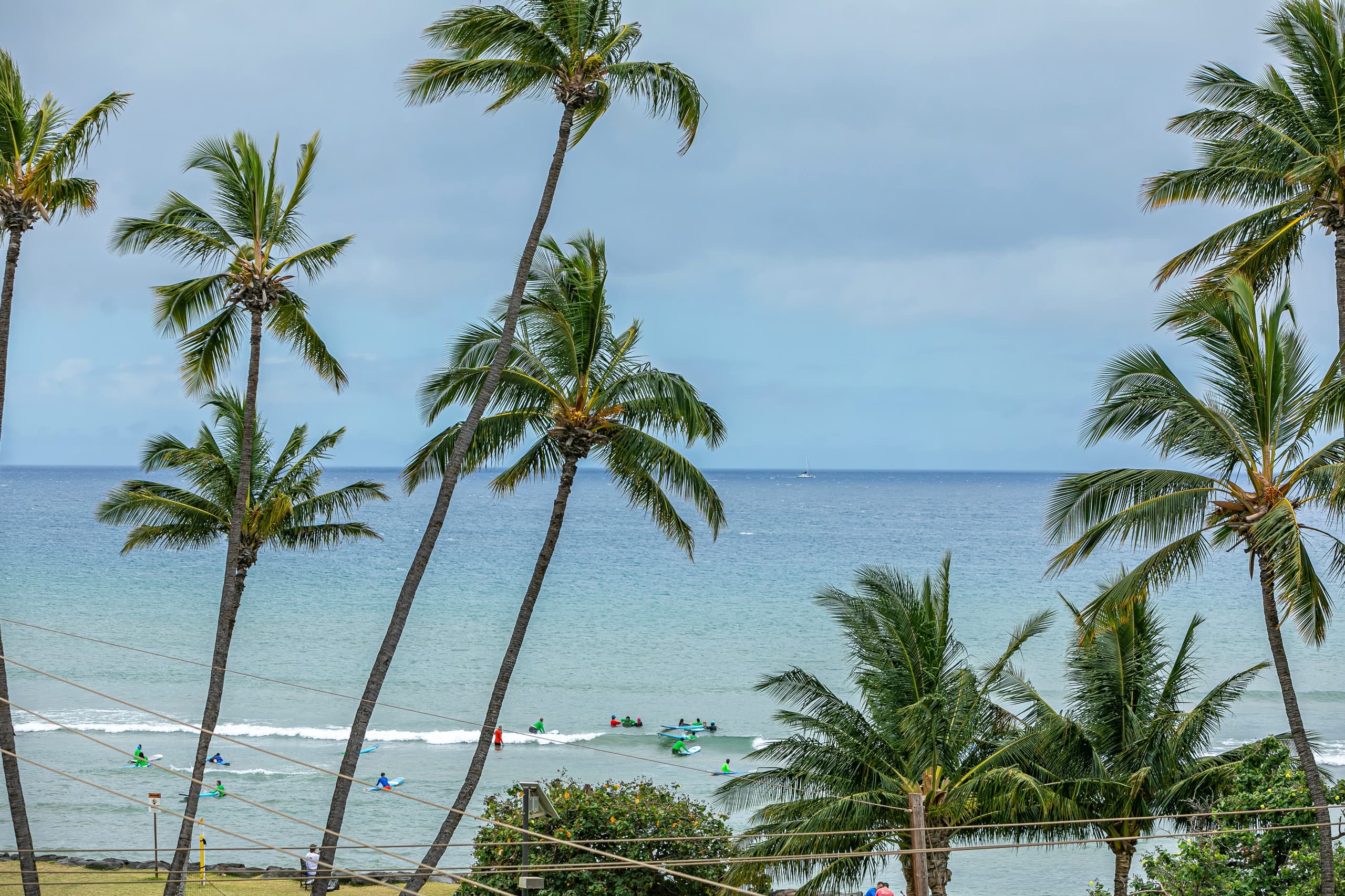 Condo in Kihei · ★4.55 · 1 bedroom · 1 bed · 1 bath - Image 20