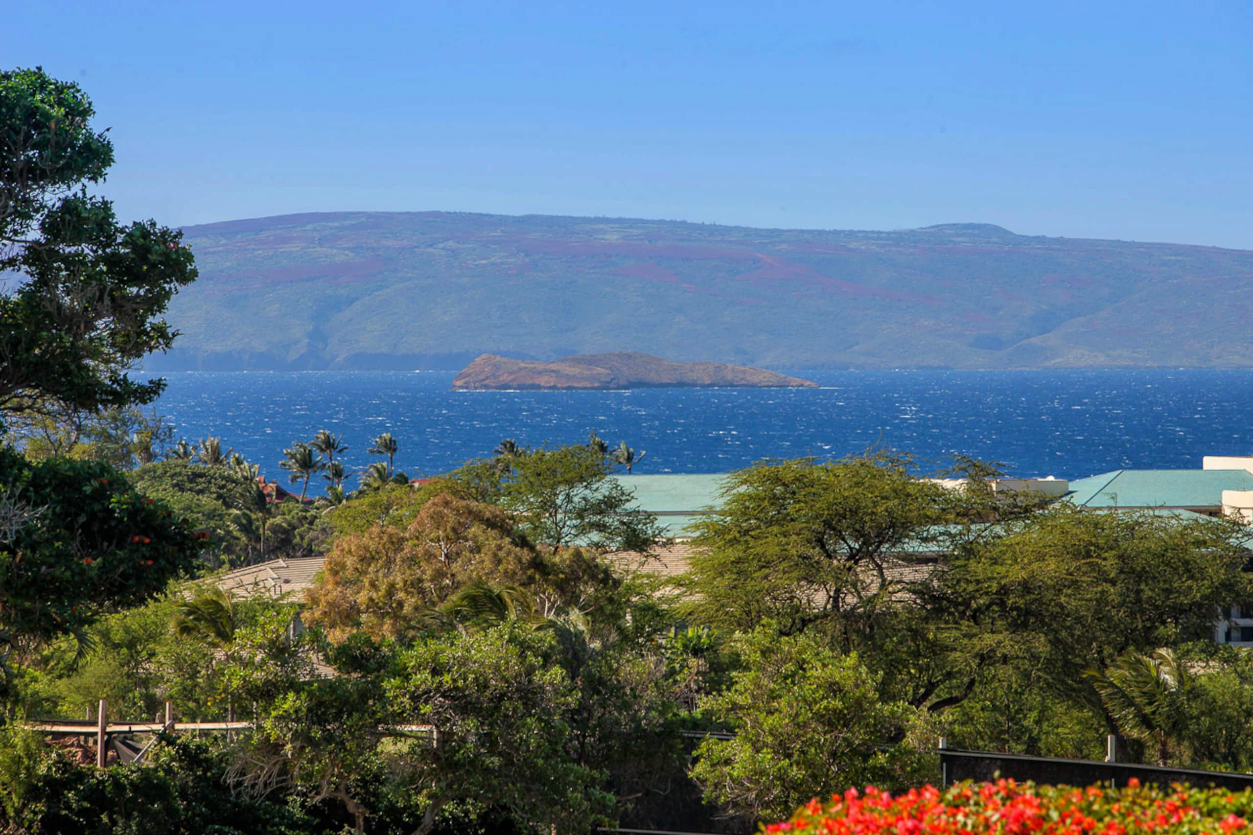 Condo in Kihei · ★4.84 · 2 bedrooms · 3 beds · 2 baths - Image 43