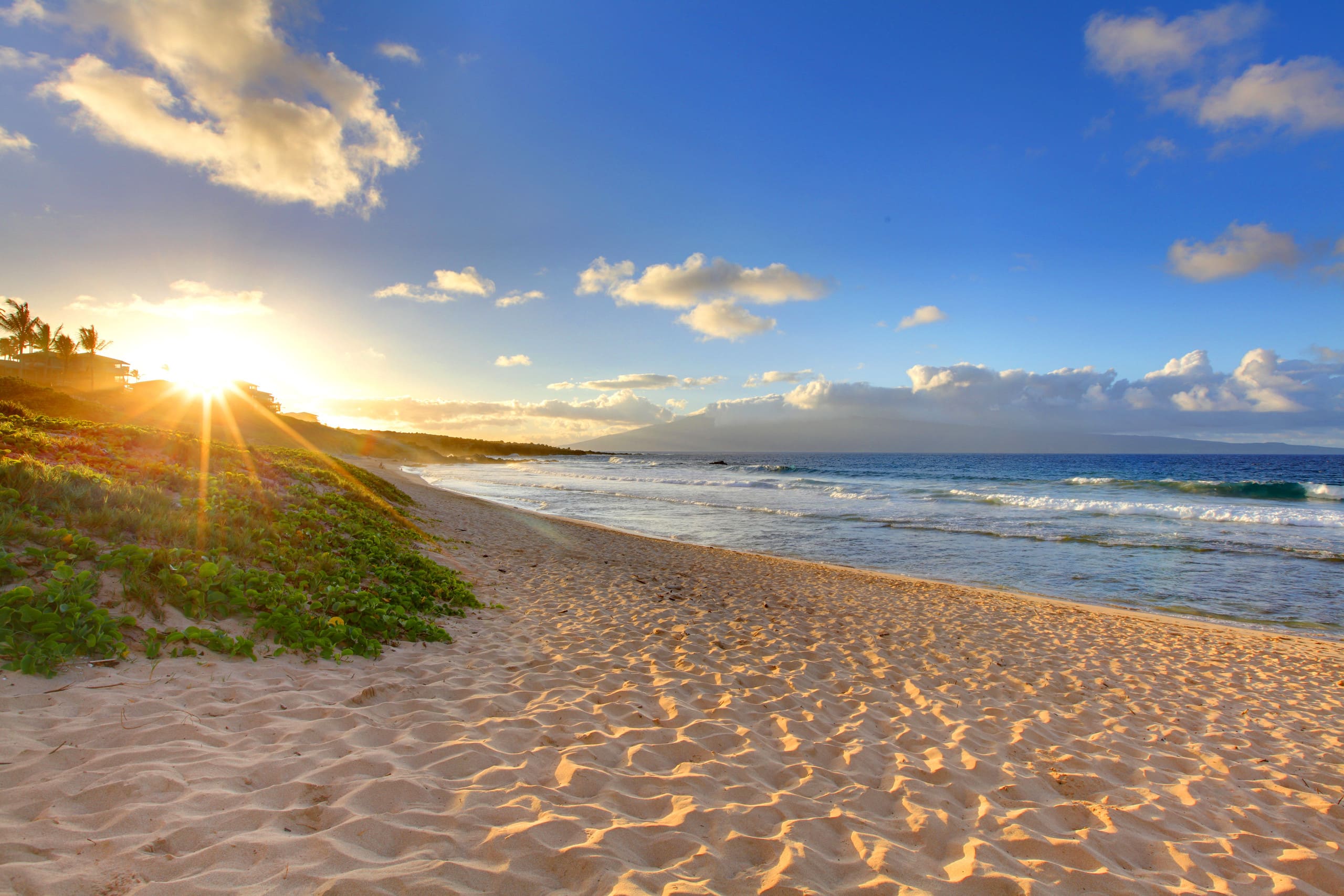 Condo in Wailuku · ★4.9 · 1 bedroom · 2 beds · 1 bath - Image 37