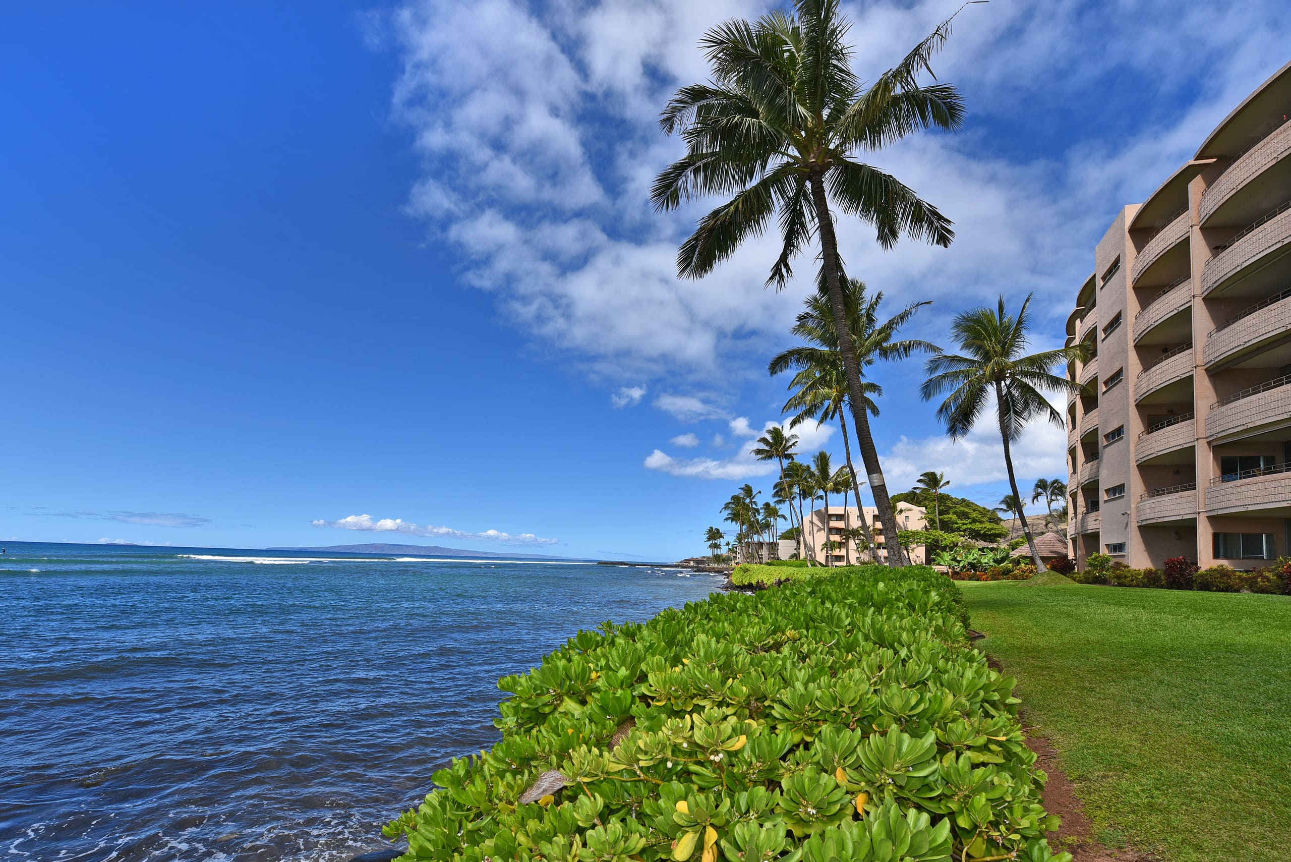 Condo in Wailuku · ★4.9 · 1 bedroom · 2 beds · 1 bath - Image 22