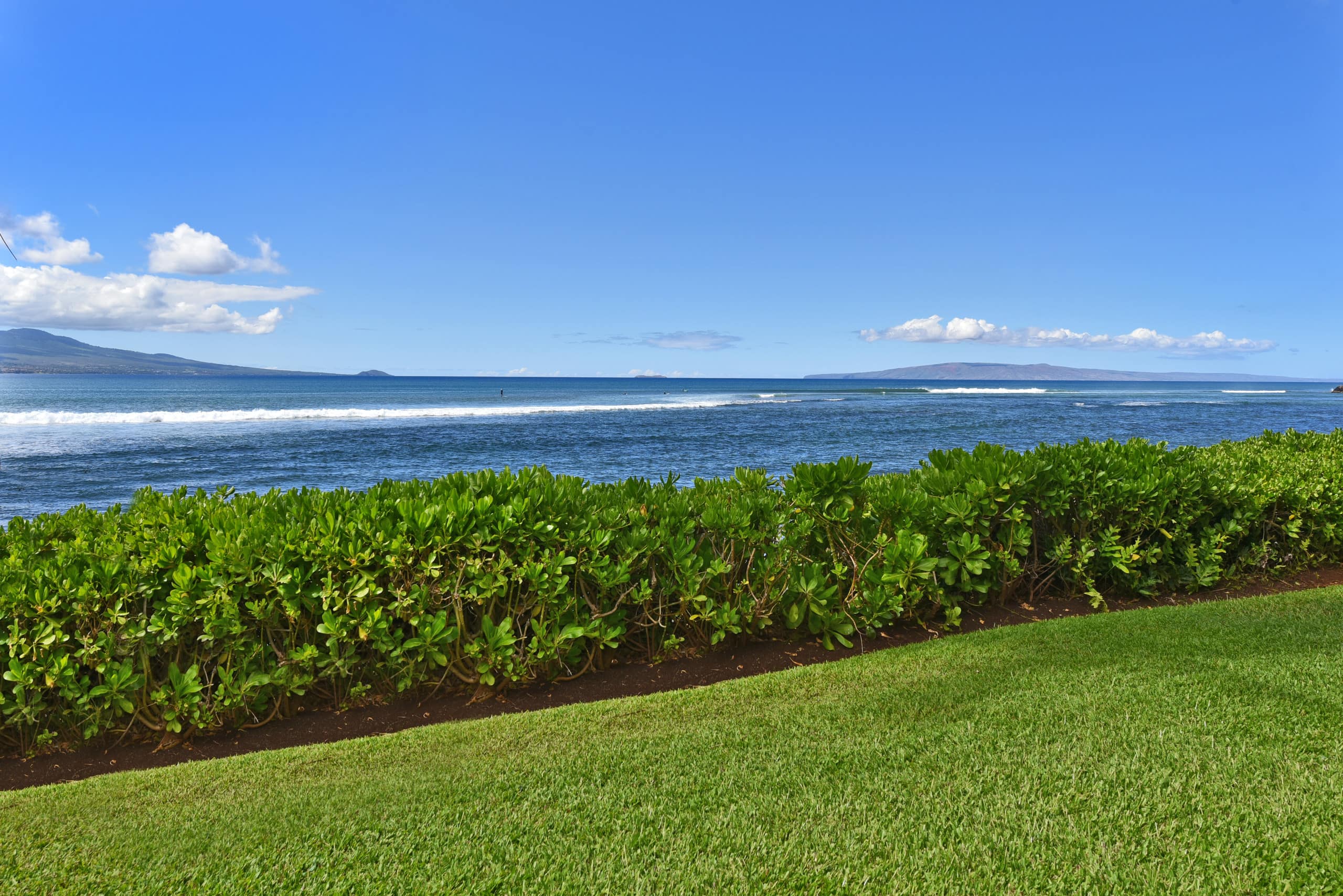 Condo in Wailuku · ★4.9 · 1 bedroom · 2 beds · 1 bath - Image 24