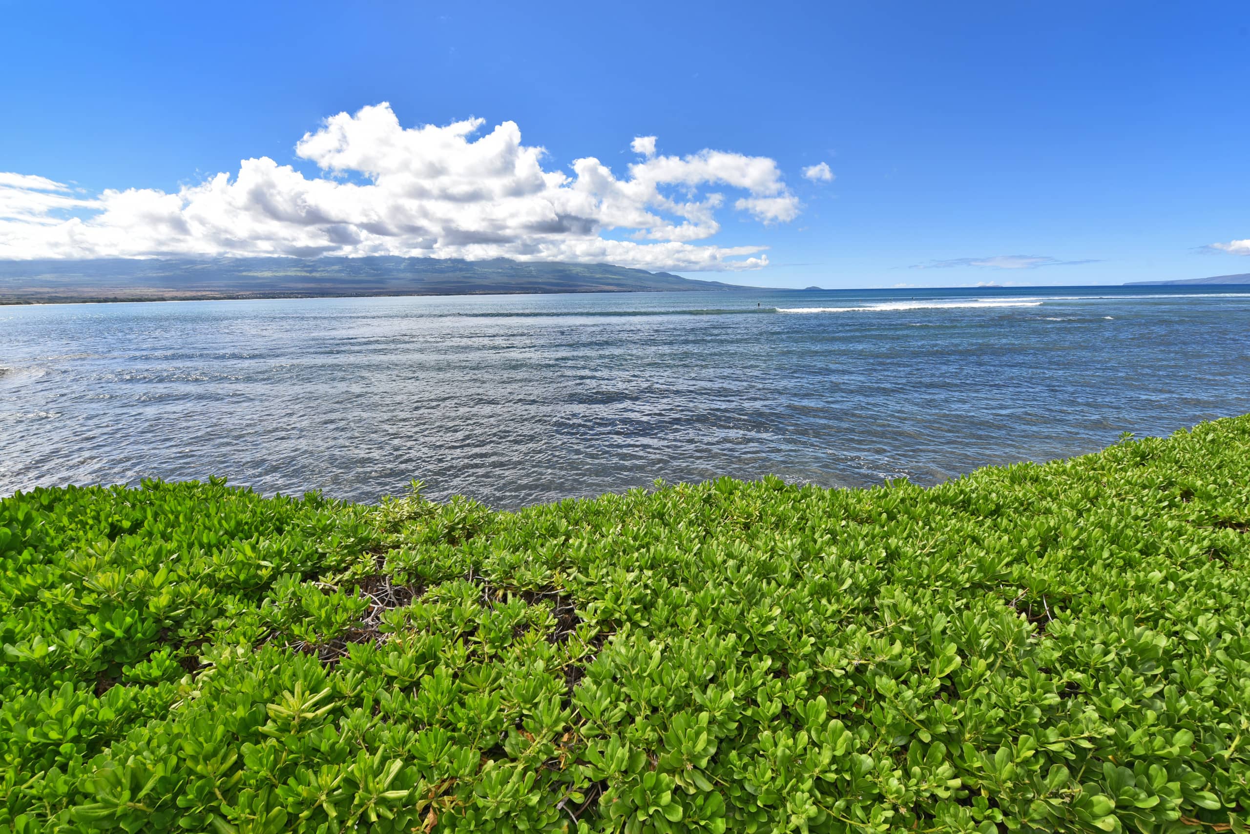 Condo in Wailuku · ★4.9 · 1 bedroom · 2 beds · 1 bath - Image 26