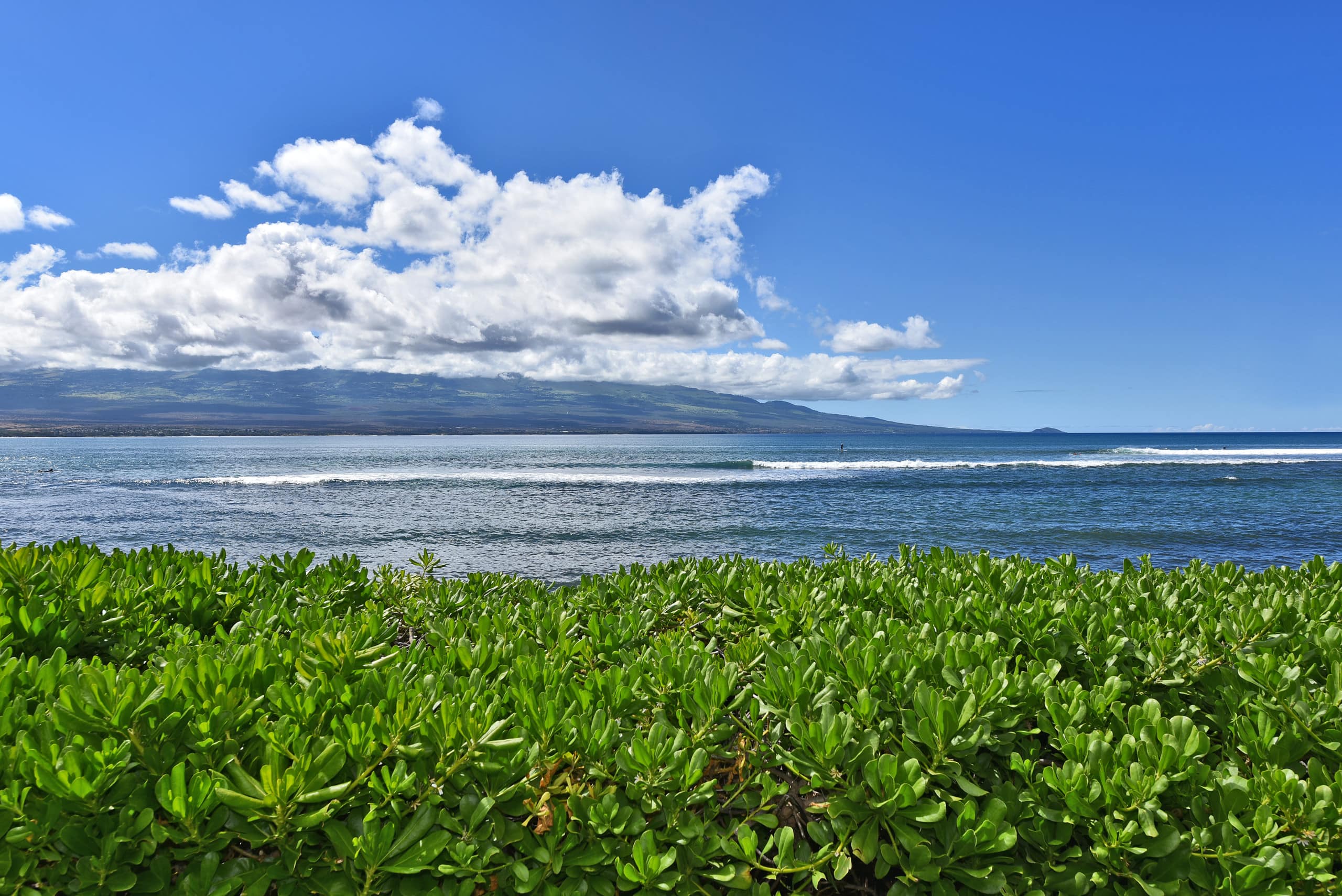 Condo in Wailuku · ★4.9 · 1 bedroom · 2 beds · 1 bath - Image 25