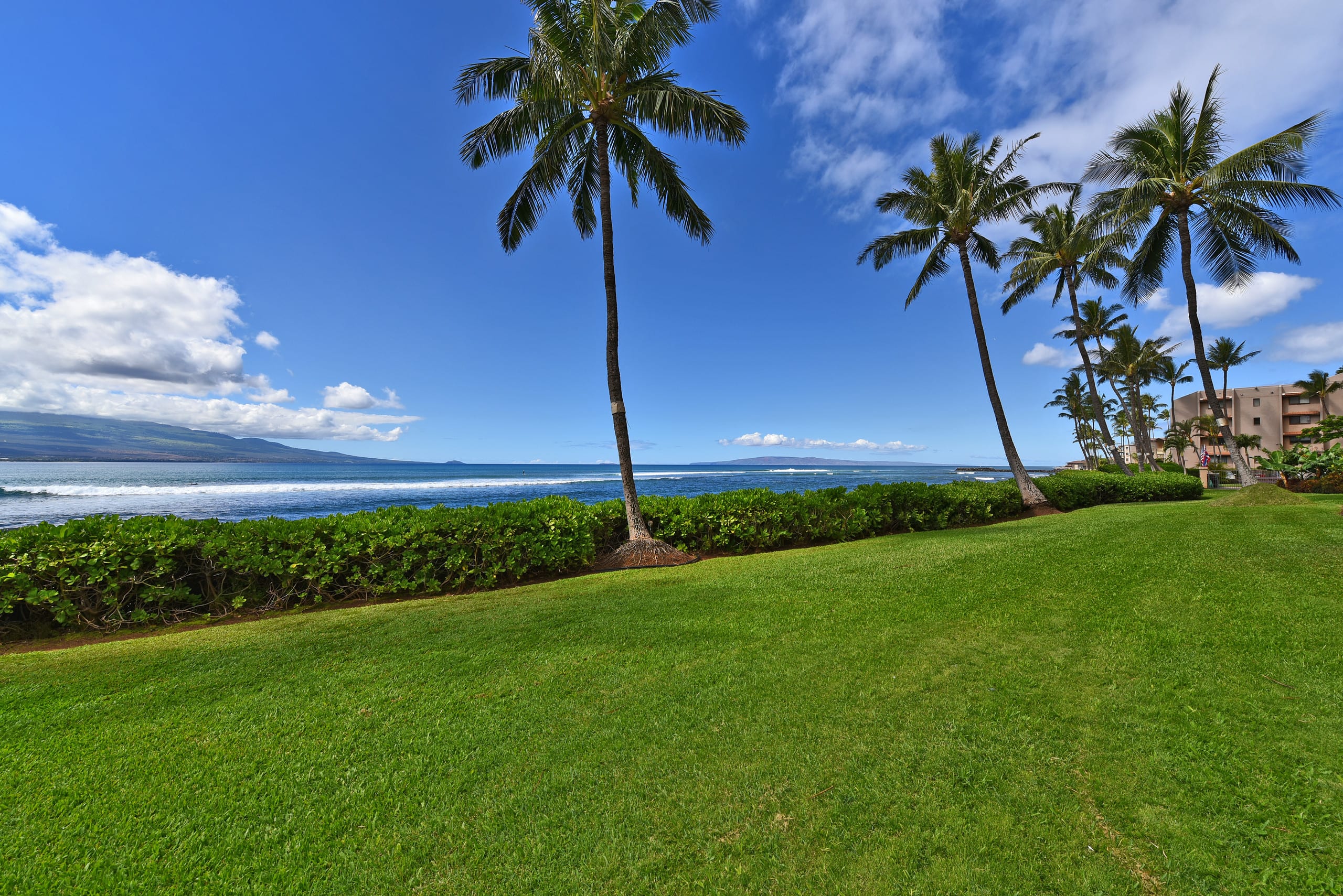 Condo in Wailuku · ★4.9 · 1 bedroom · 2 beds · 1 bath - Image 23