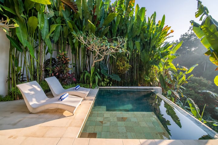 Plunge pool at Villa Charles