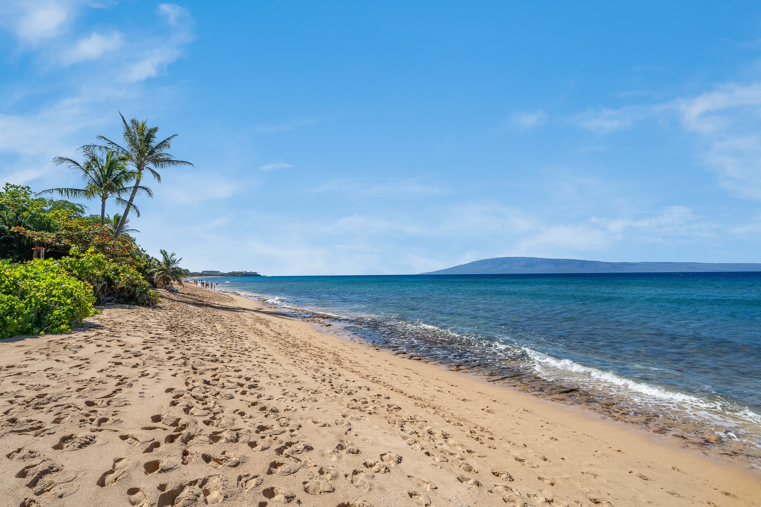 Condo in Lahaina · ★4.96 · 2 bedrooms · 4 beds · 2 baths - Image 31