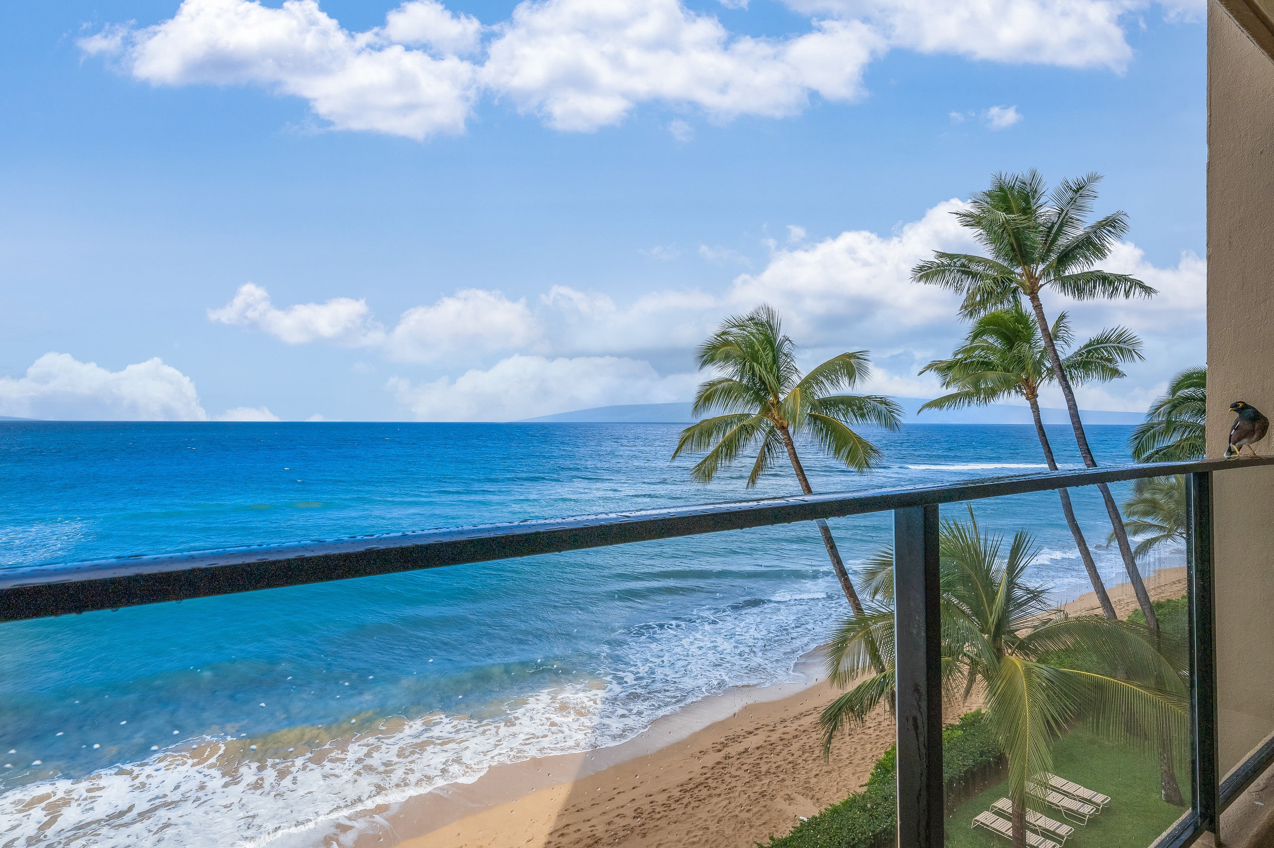Condo in Lahaina · ★4.96 · 2 bedrooms · 4 beds · 2 baths - Image 35