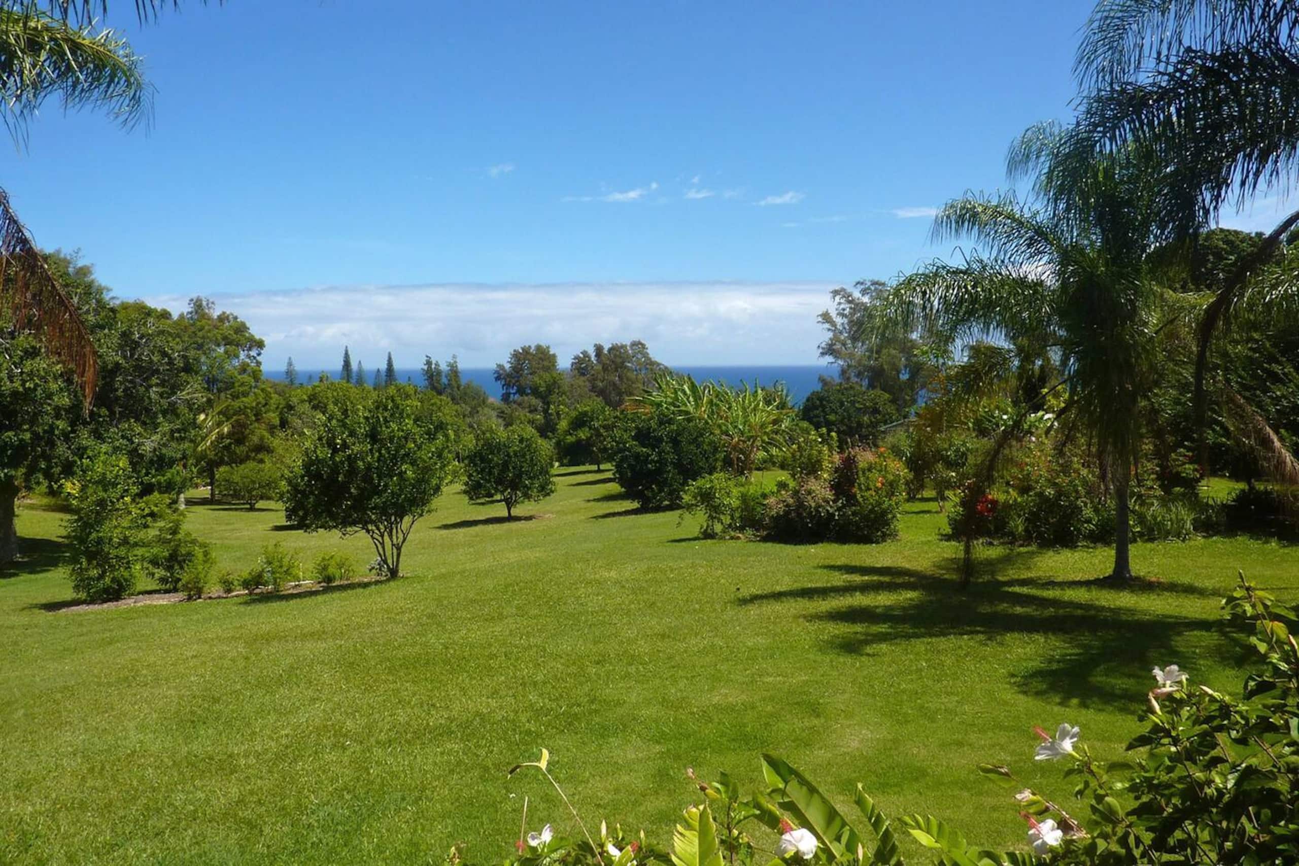 Cabin in Kapaau · ★4.93 · 1 bedroom · 1 bed · 1 shared bath - Image 40
