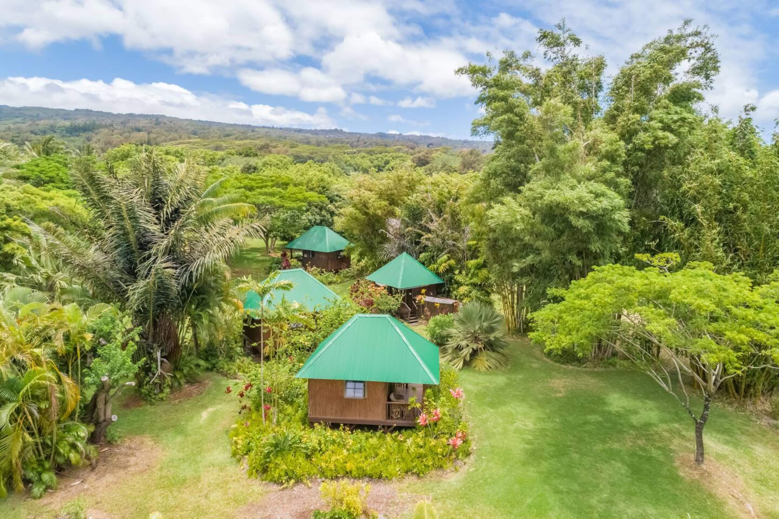 Cabin in Kapaau · ★4.88 · 1 bedroom · 1 bed · 1 shared bath - Image 4