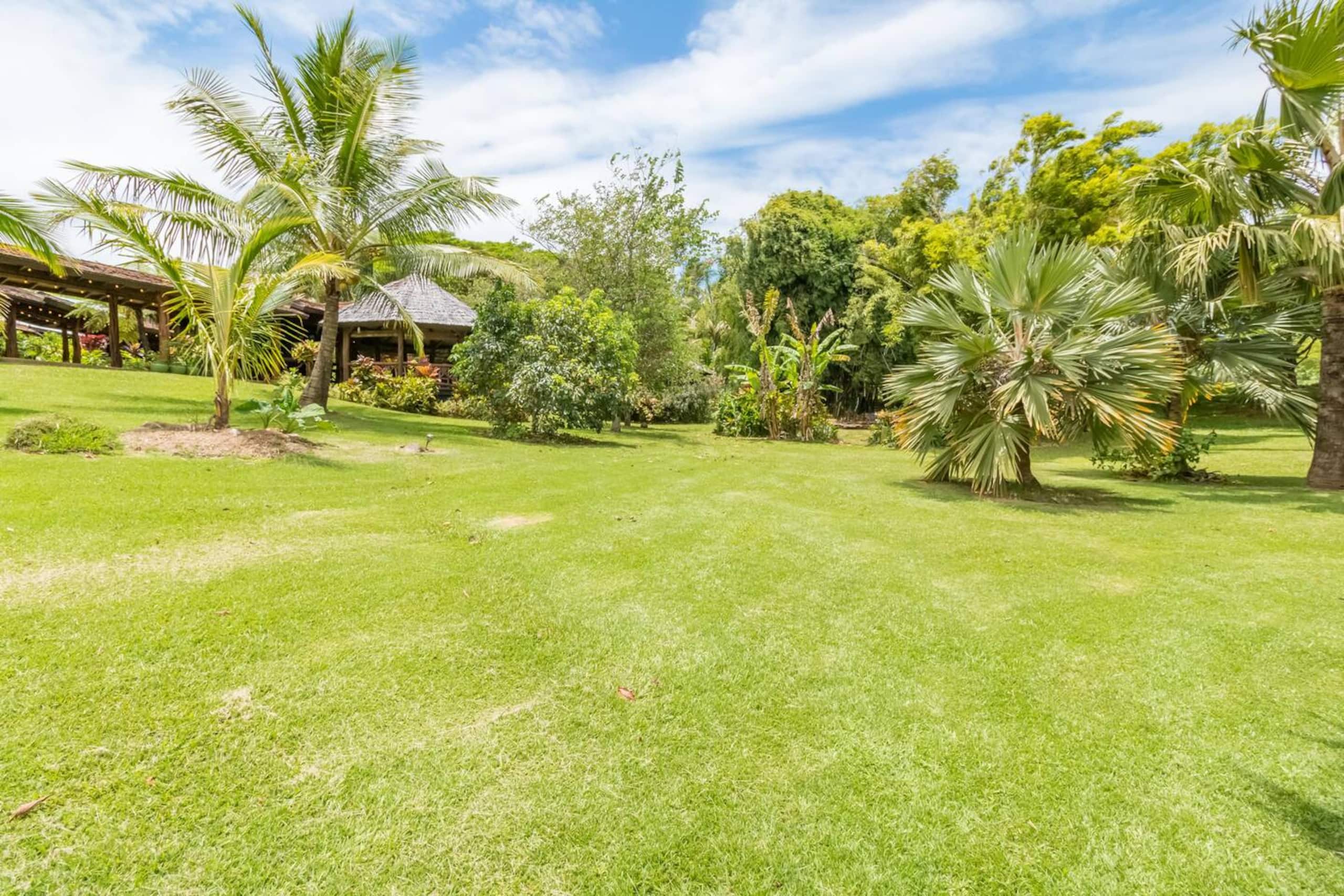 Cabin in Kapaau · ★4.88 · 1 bedroom · 1 bed · 1 shared bath - Image 9