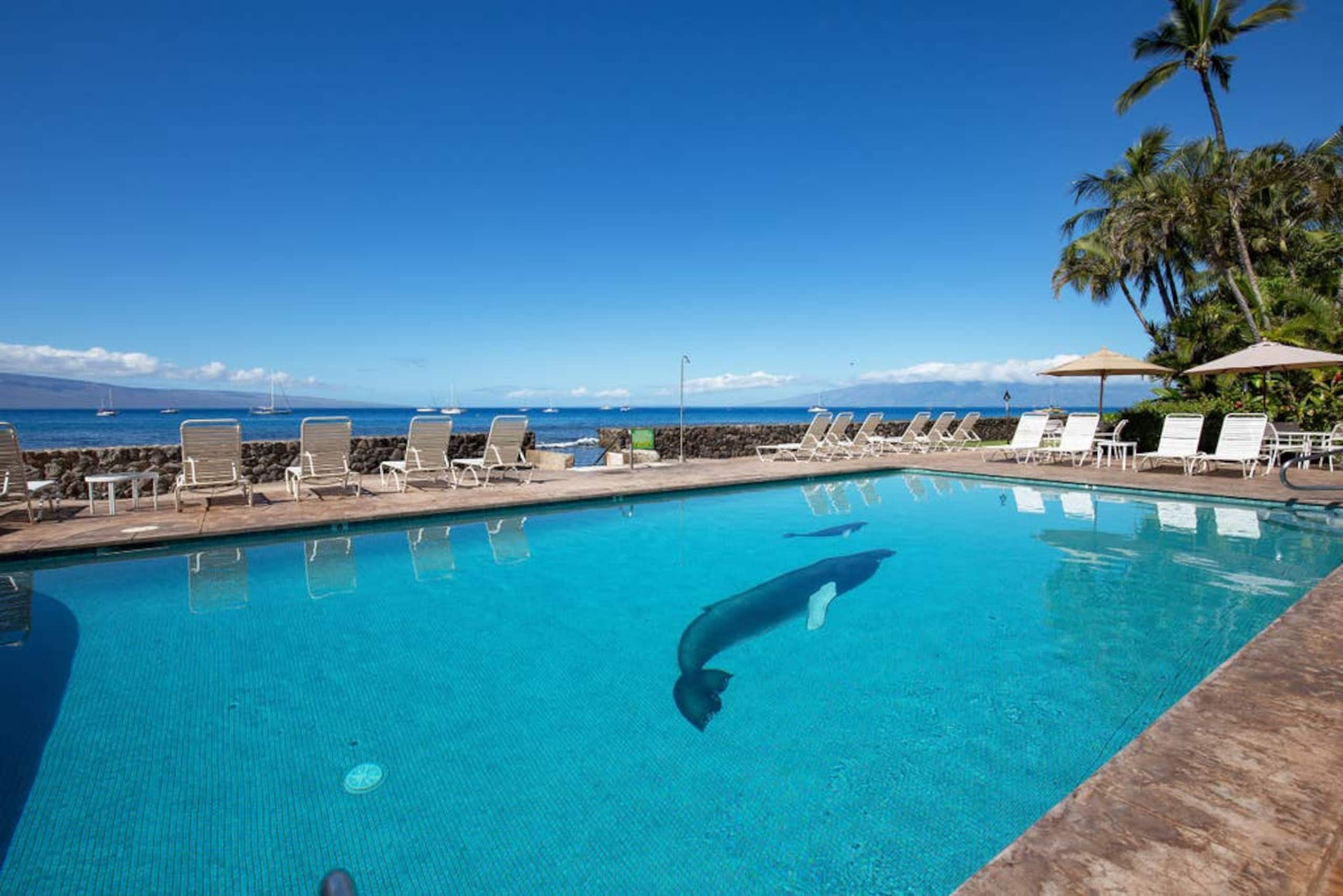Hotel in Lahaina · ★4.89 · 1 bedroom · 2 beds · 1 private bath - Image 19