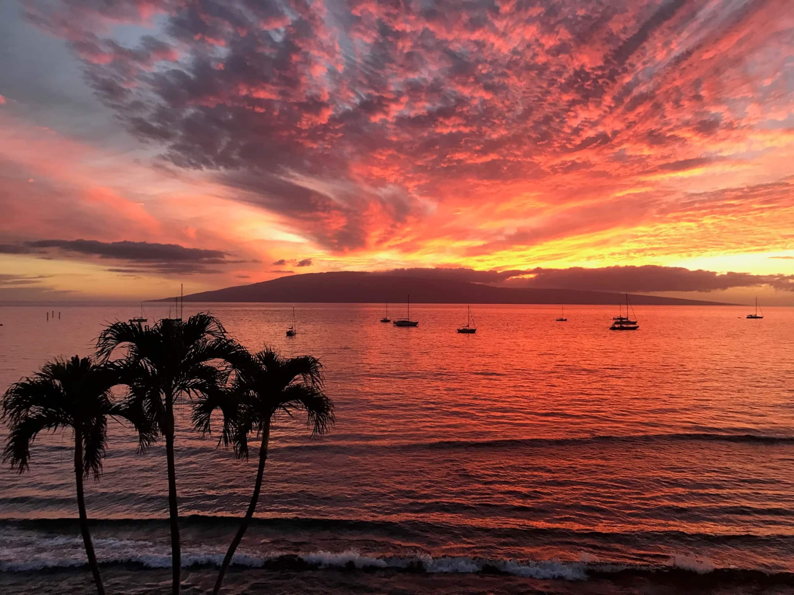 Hotel in Lahaina · ★4.89 · 1 bedroom · 2 beds · 1 private bath - Image 1