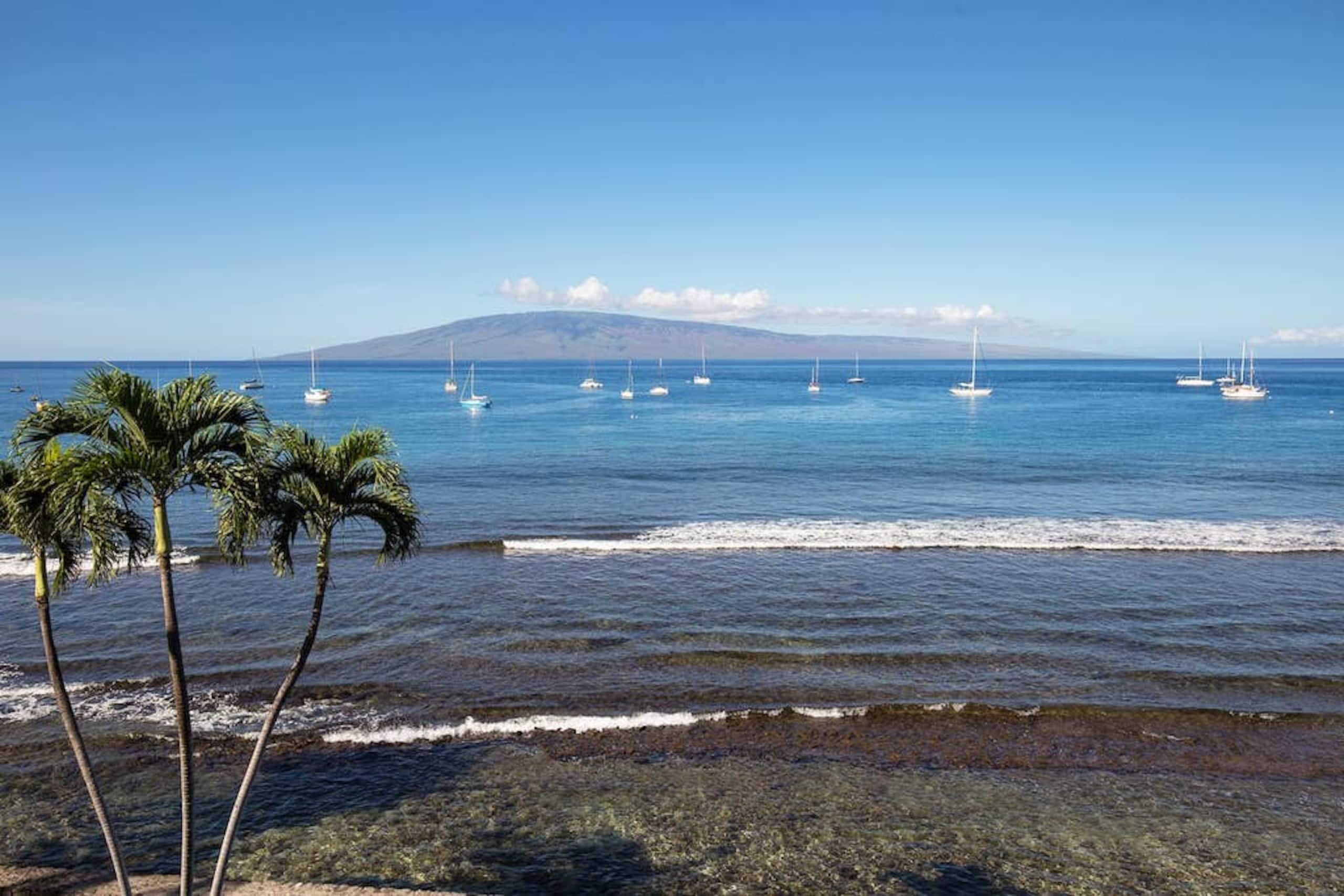 Hotel in Lahaina · ★4.89 · 1 bedroom · 2 beds · 1 private bath - Image 15
