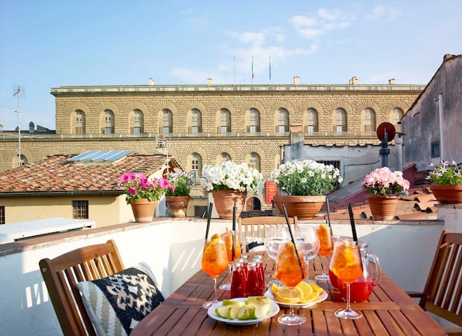 Historic 3BD Apt w Terrace View to Pitti Palace