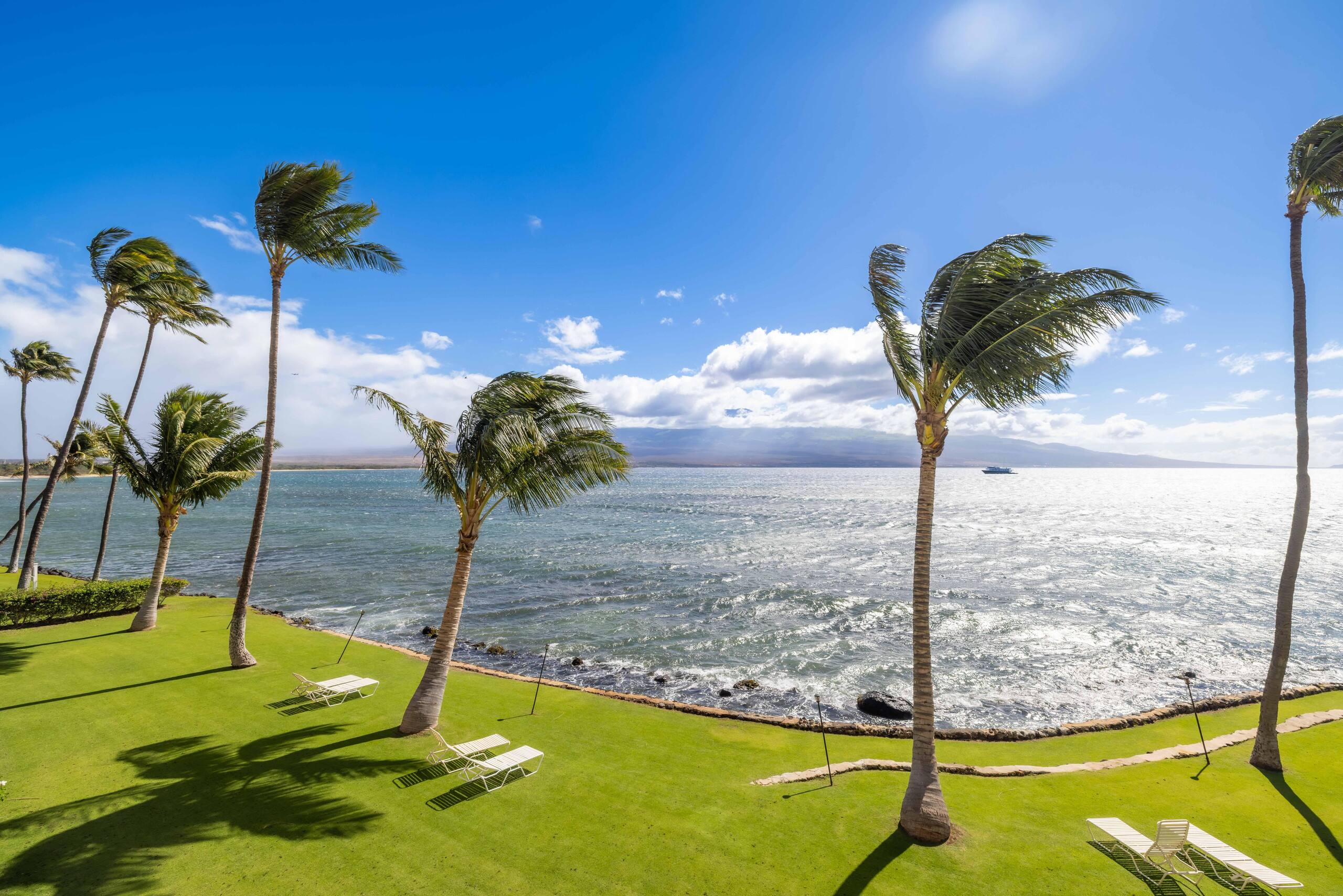 Oceanfront Ma'alaea Kai 317 Tranquil & Beautiful - Image 36