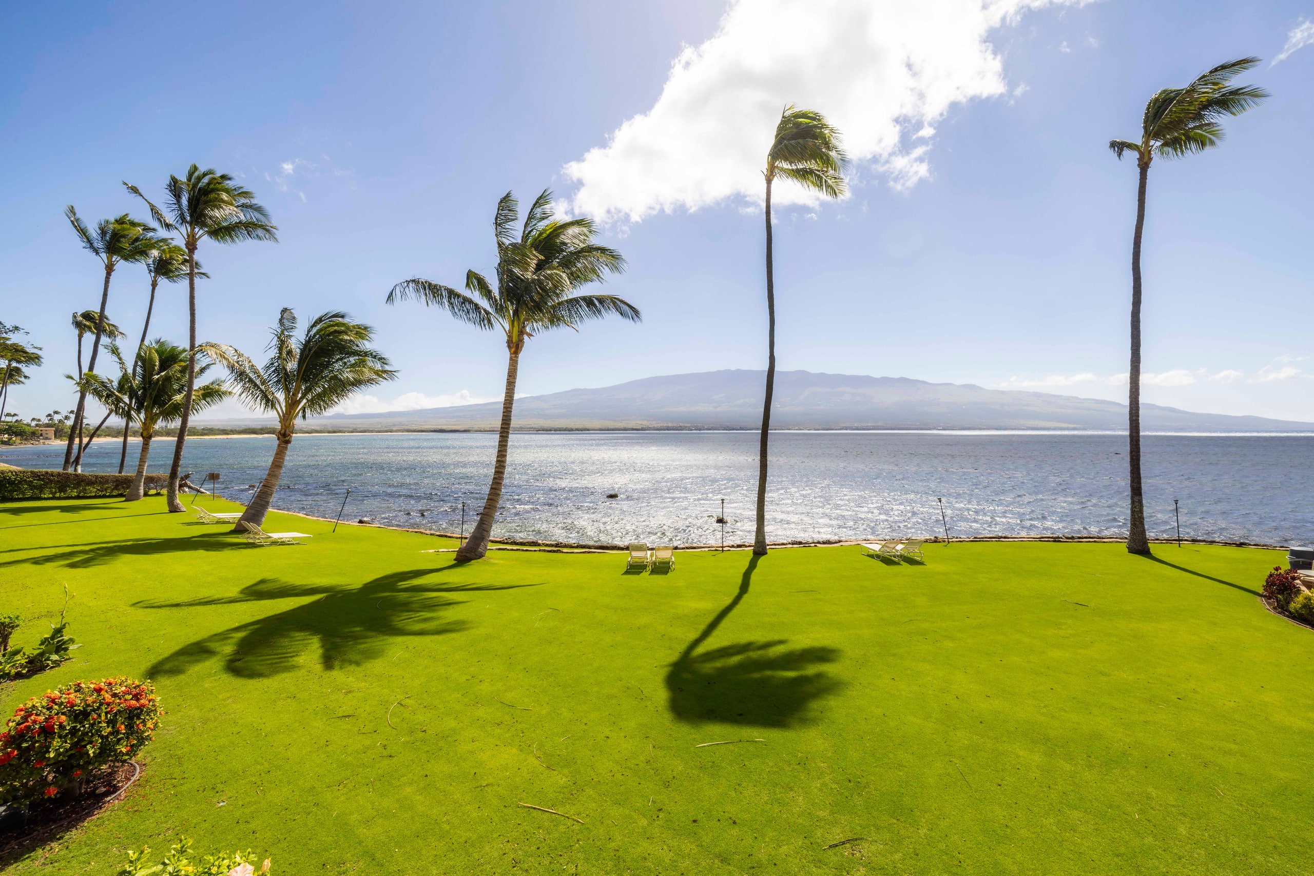Oceanfront Ma'alaea Kai 214 -Great 2nd Floor Unit - Image 31