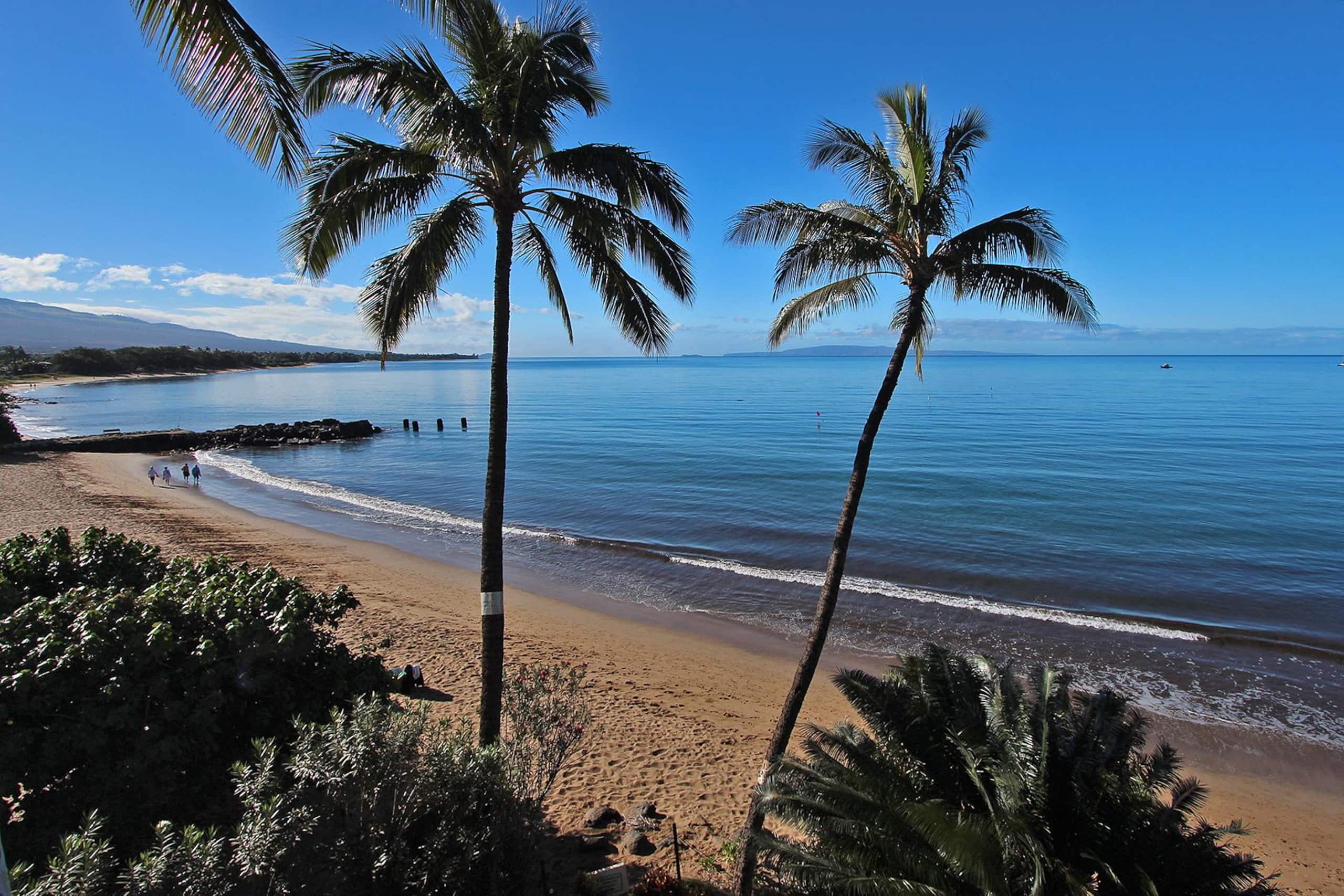 Oceanfront Kihei Beach 410-Gorgeous View - Image 16