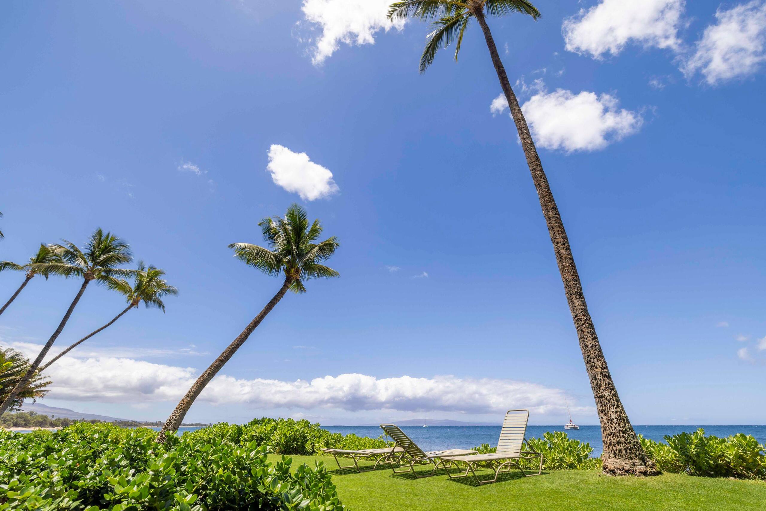 Oceanfront Kihei Beach 201 - 2-Bdrm Charming Condo - Image 41