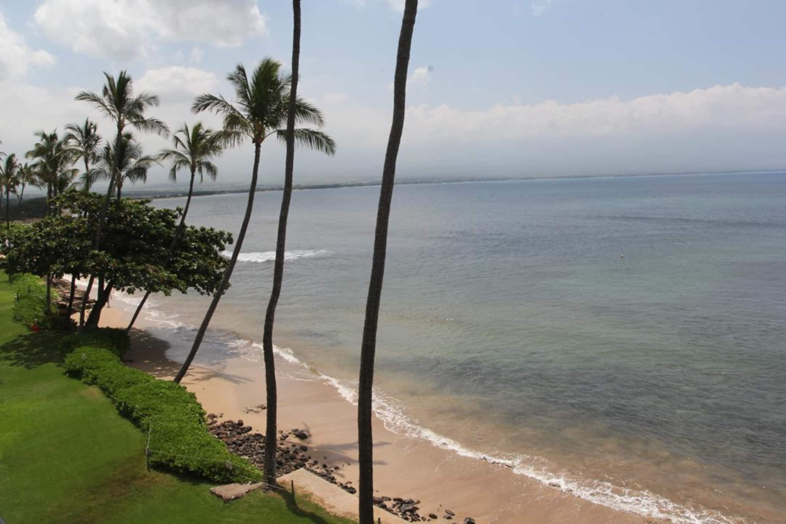 Oceanview Kanai A Nalu 106 - Lovely Ground Floor - Image 51