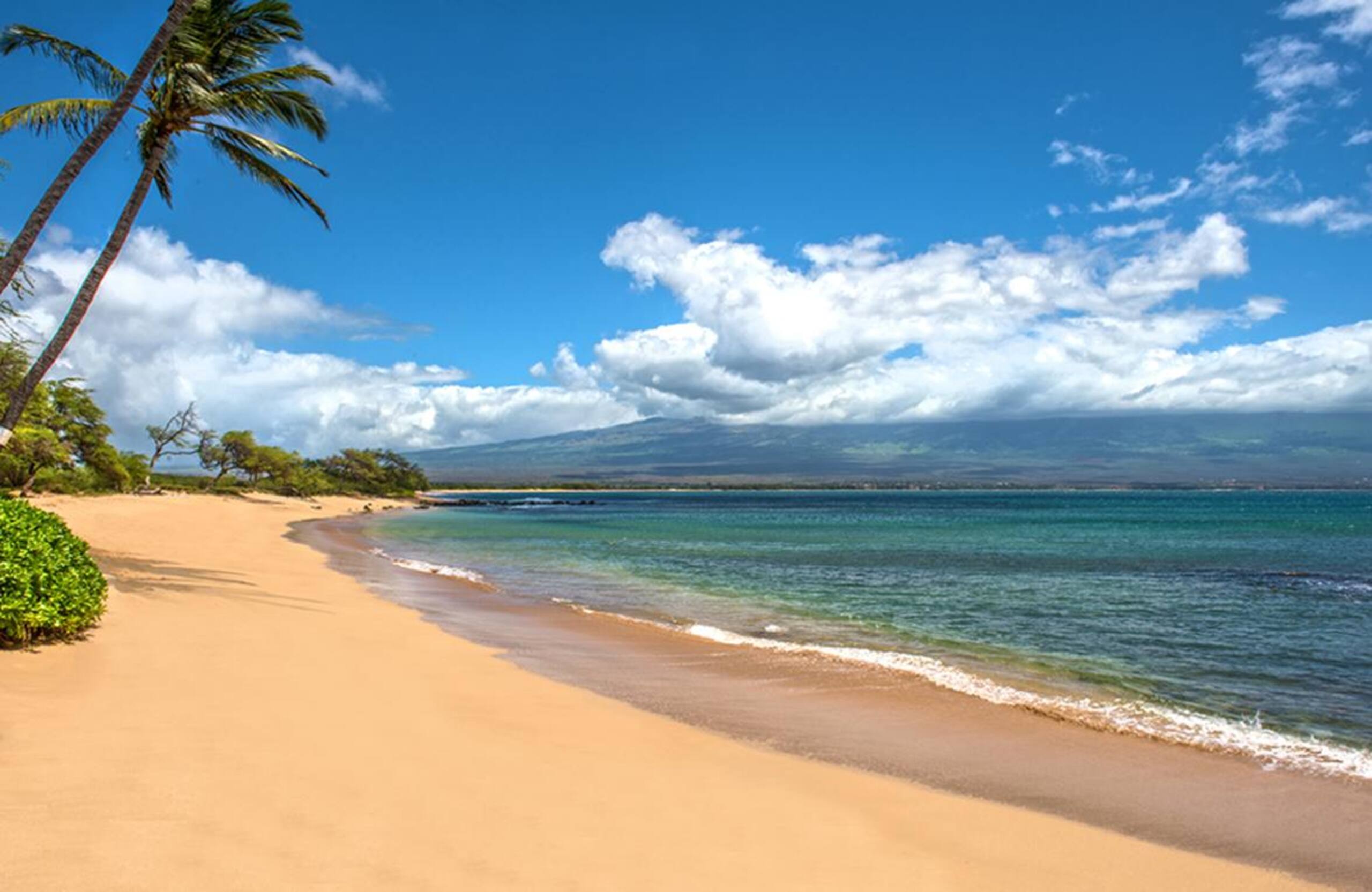 Gardenview Hono Kai B16 Quiet 1Bdrm Beachfront - Image 33