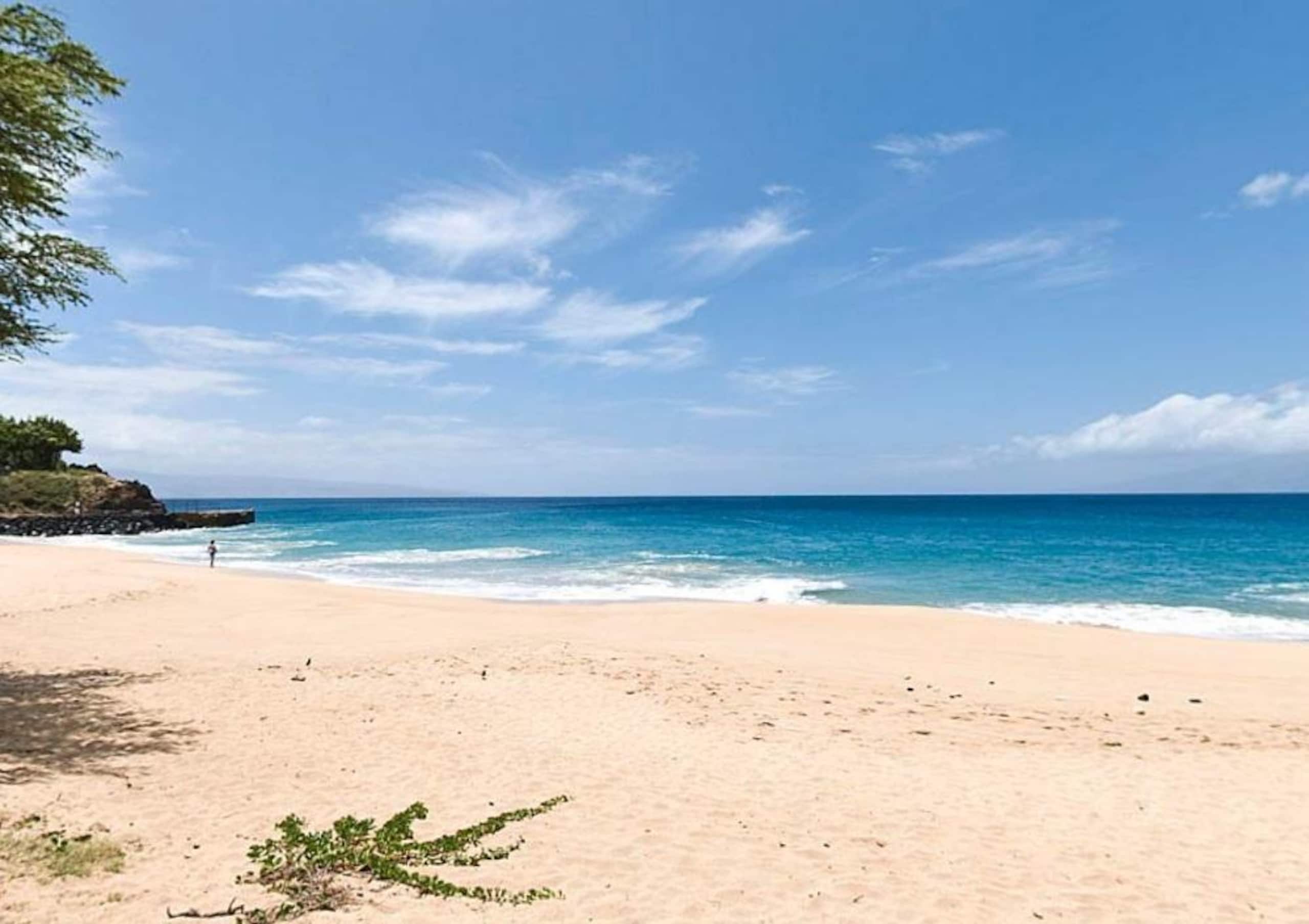 Condo in Kaanapali · ★4.91 · 2 bedrooms · 2 beds · 2 baths - Image 25