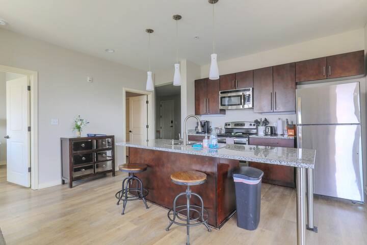 Luxurious Top Floor 2 Br 2 Ba Downtown Condo-#604 gallery image 4