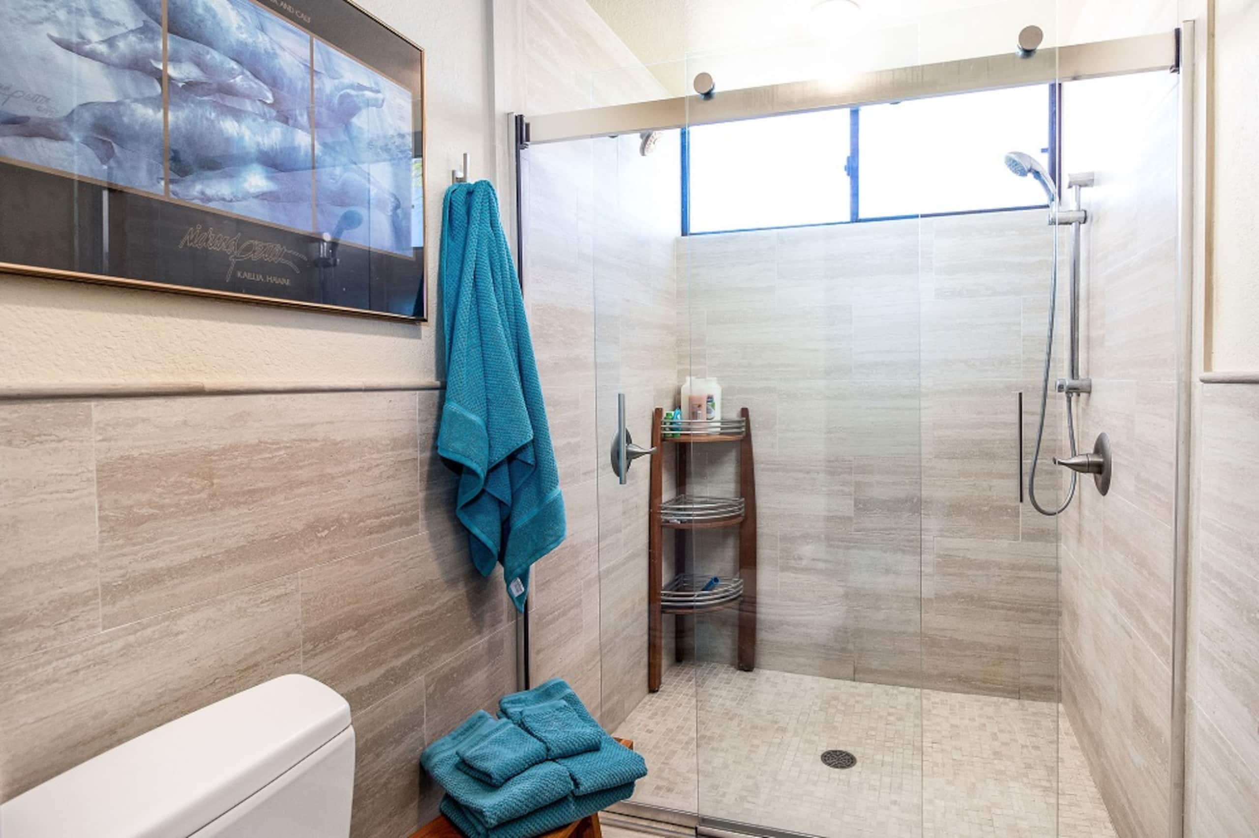 Includes Beach Gear 317 Shores at Waikoloa - Photo 5