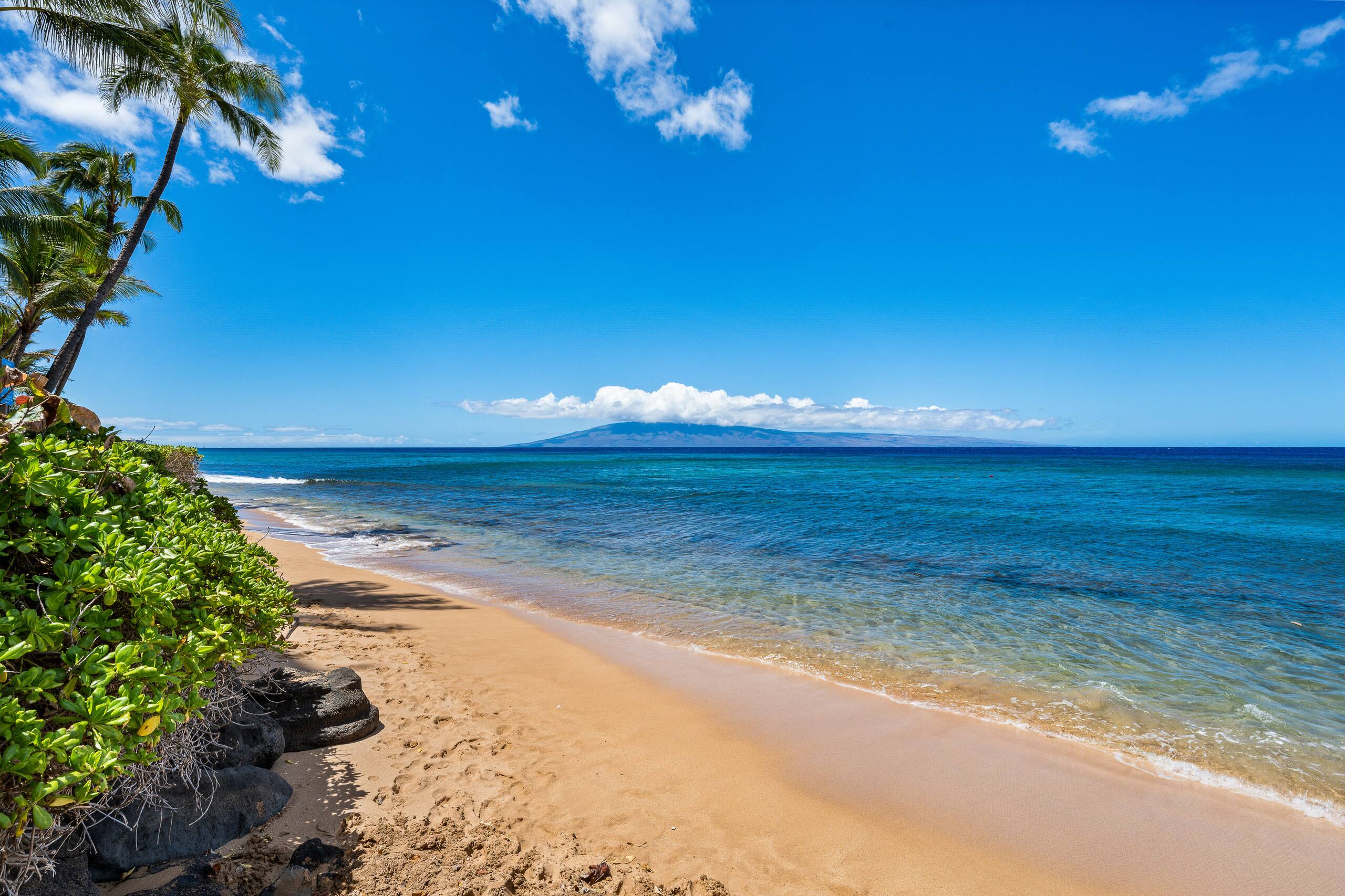 Condo in Lahaina · ★4.66 · 1 bedroom · 2 beds · 1 bath - Image 26