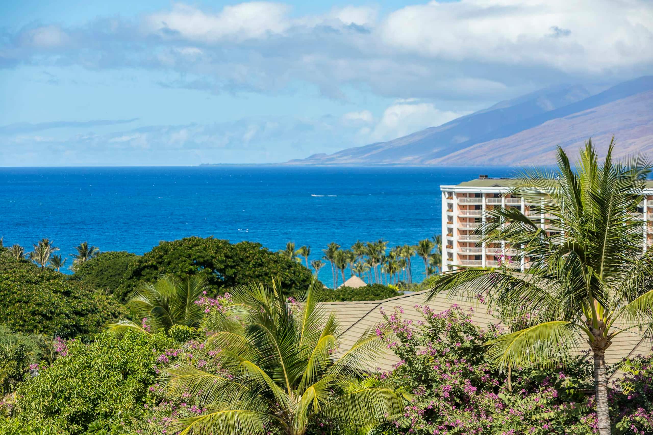 Villa in Kihei · ★4.93 · 3 bedrooms · 4 beds · 3.5 baths - Image 3