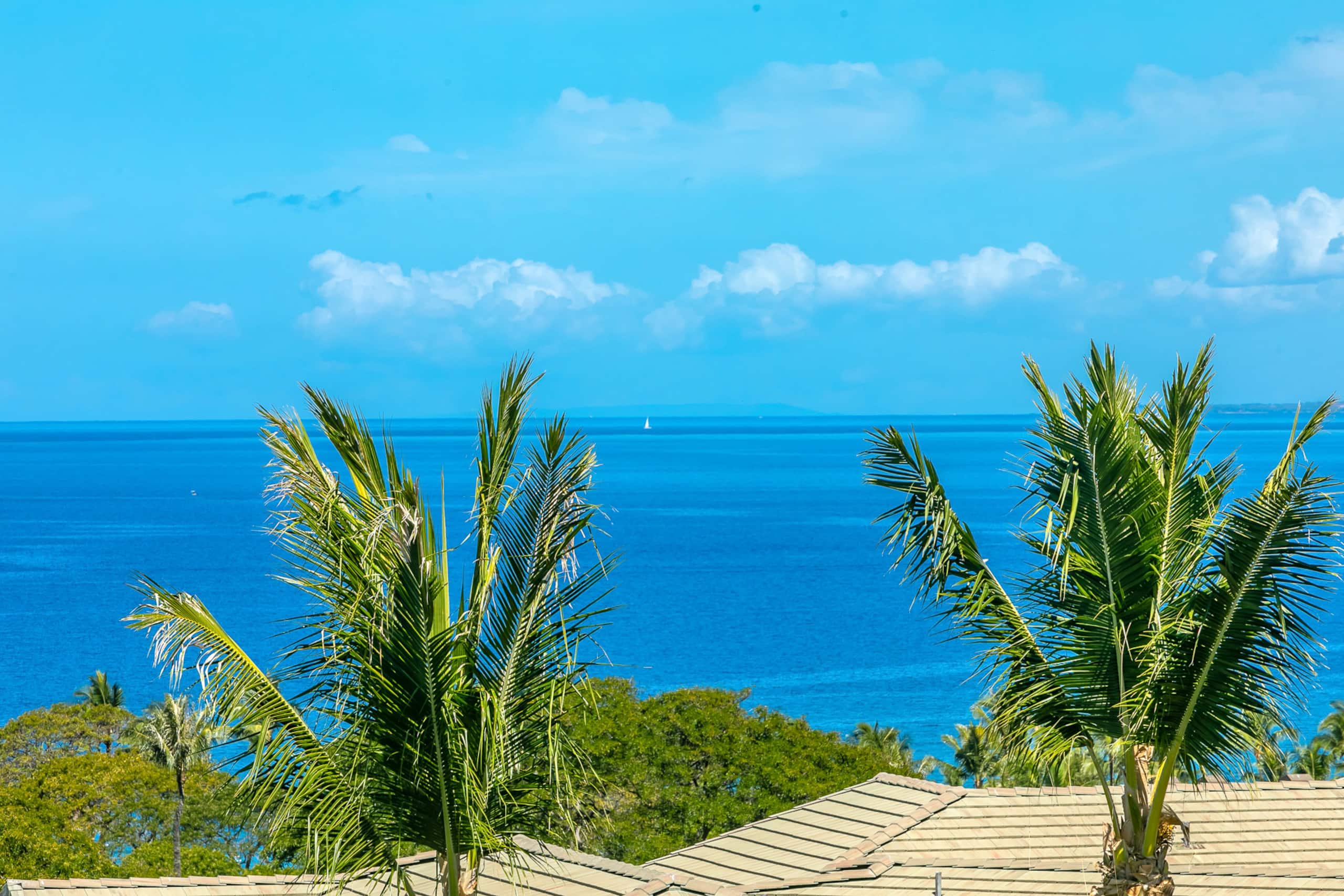 Townhouse in Kihei · ★4.91 · 3 bedrooms · 4 beds · 3.5 baths - Image 4