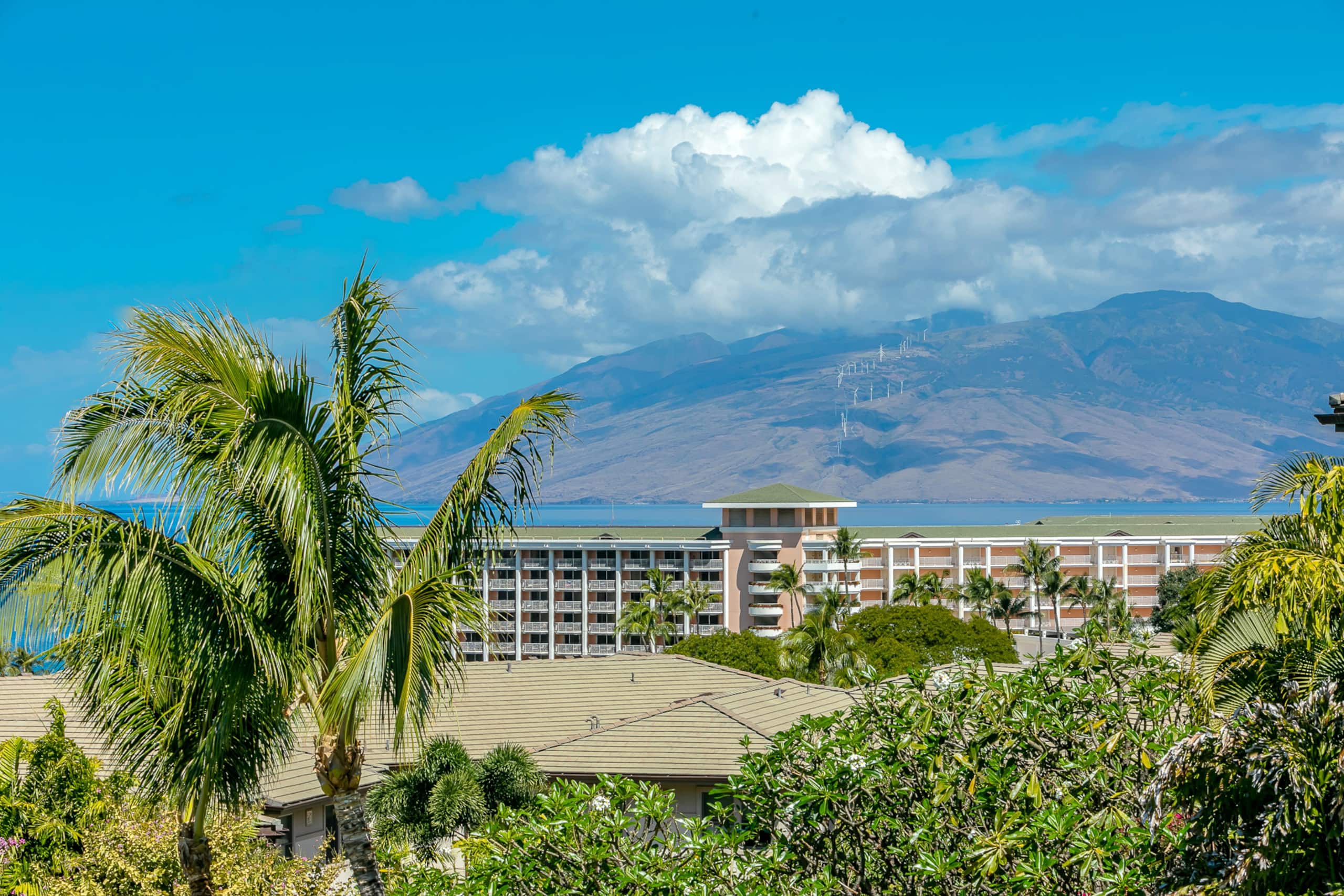 Townhouse in Kihei · ★4.91 · 3 bedrooms · 4 beds · 3.5 baths - Image 6