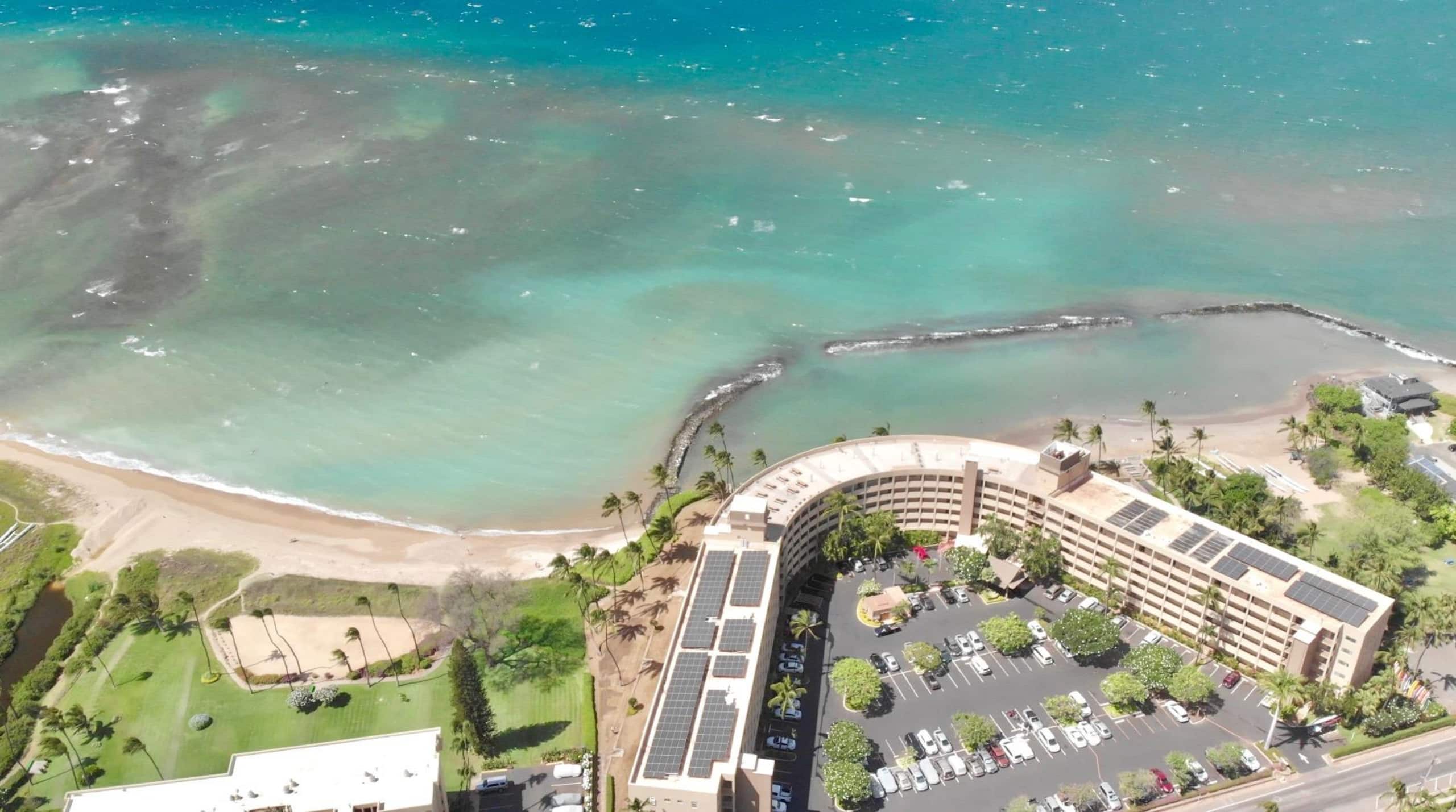 Condo in Kihei · ★4.96 · 1 bedroom · 1 bed · 1 private bath - Image 38