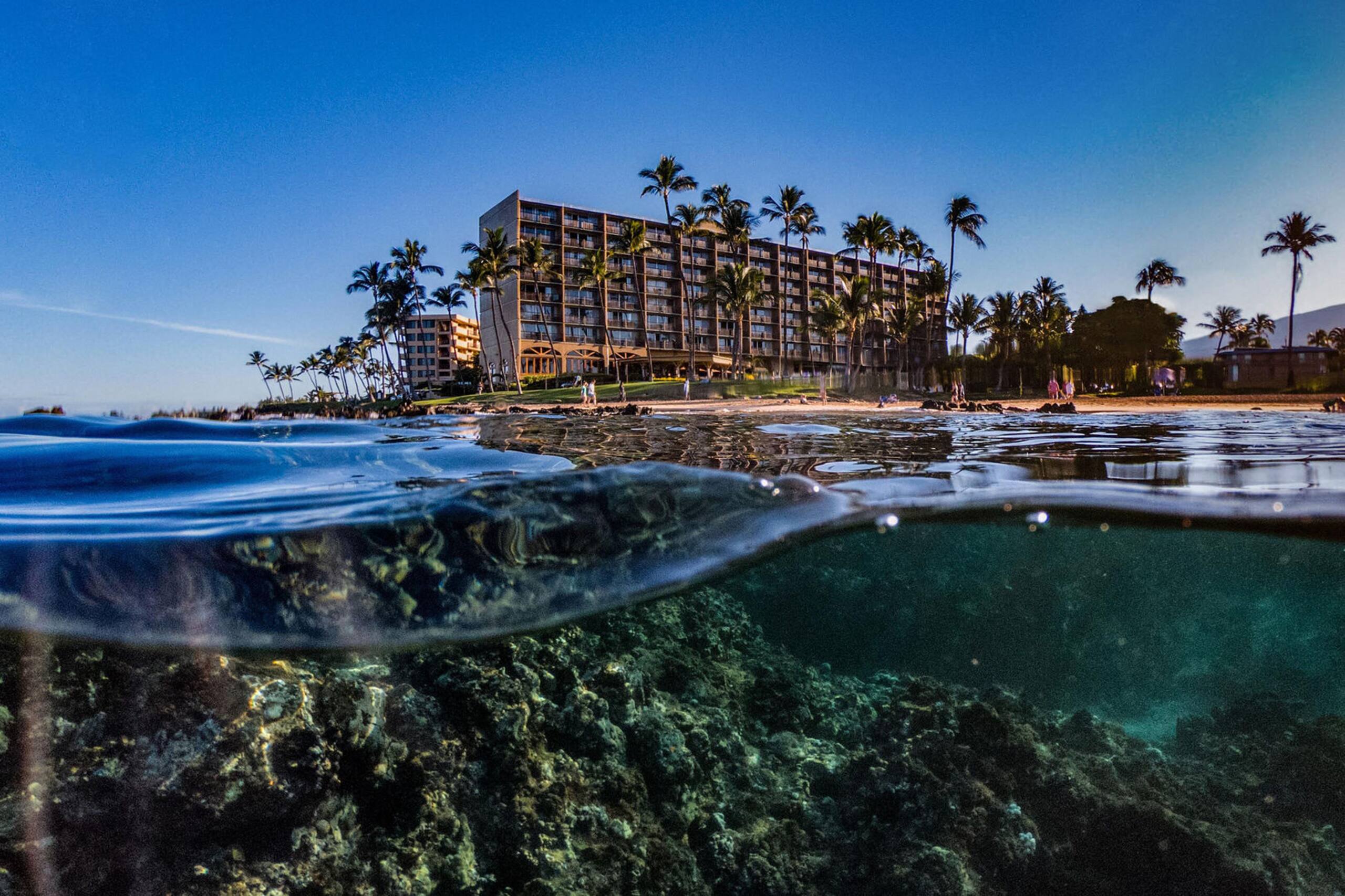 Condo in Kihei · ★4.92 · 2 bedrooms · 2 beds · 2 baths - Image 42