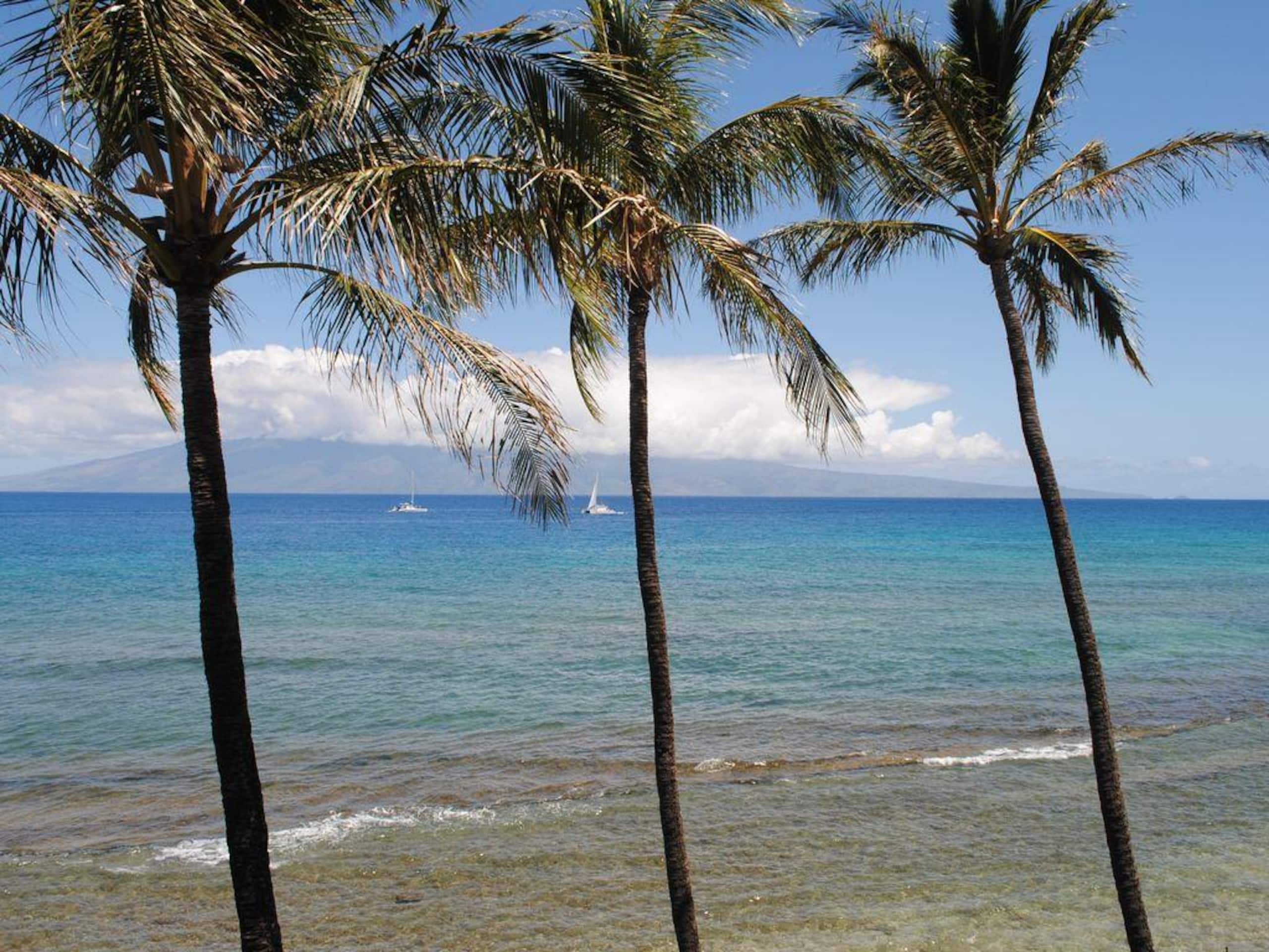 Condo in Lahaina · ★4.7 · 3 bedrooms · 4 beds · 2 baths - Image 15