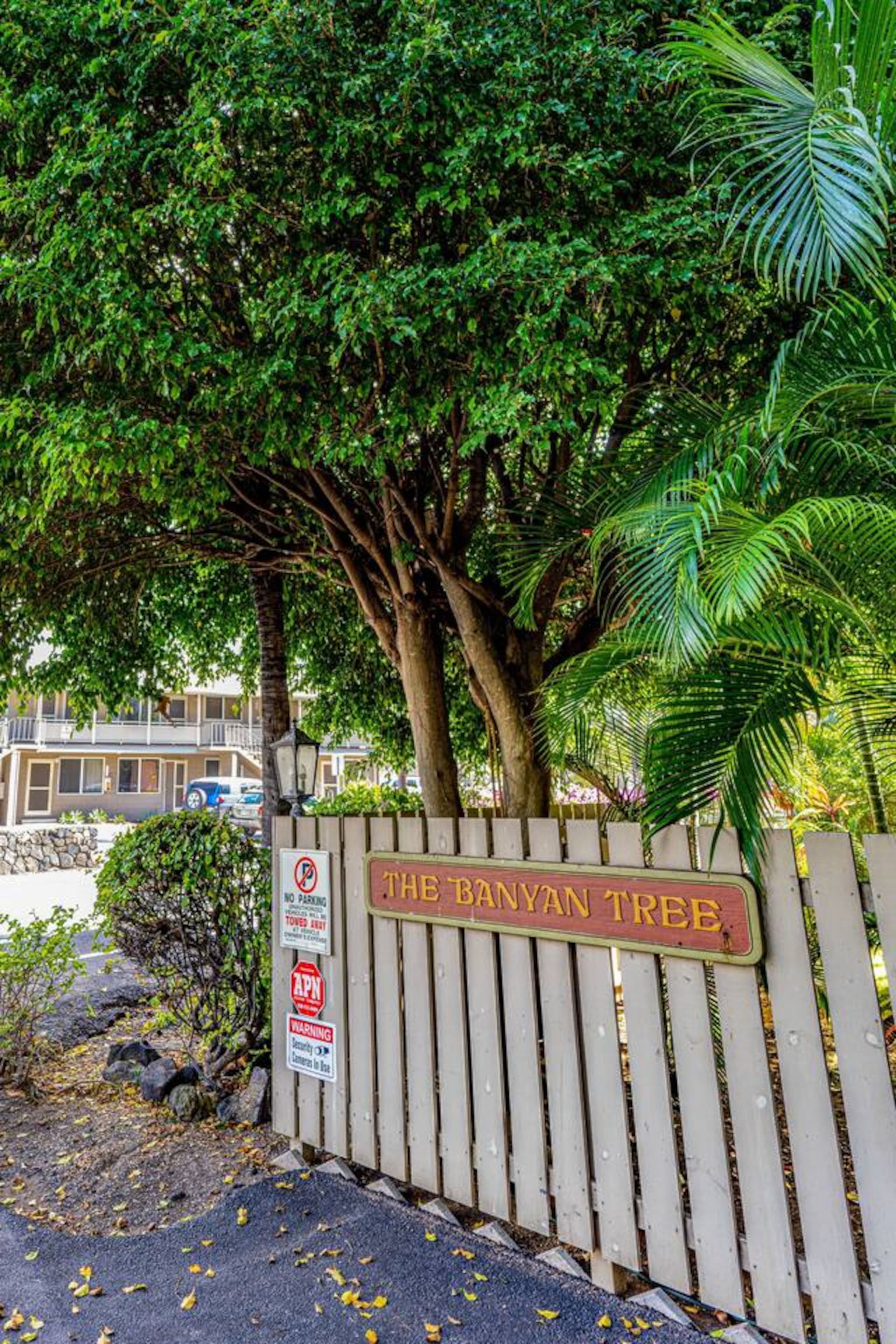 Condo in Kailua-Kona · ★4.89 · 2 bedrooms · 4 beds · 2 baths - Image 30