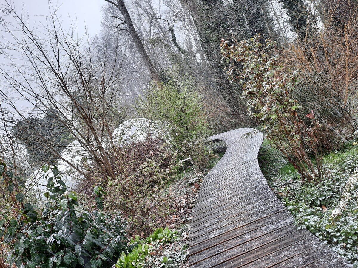 A winding wooden pathway leads through a snowy garden, surrounded by bare trees and vibrant greenery. Distant white domes can be seen, partially obscured by the soft snowflakes falling from the overcast sky, creating a serene winter landscape.