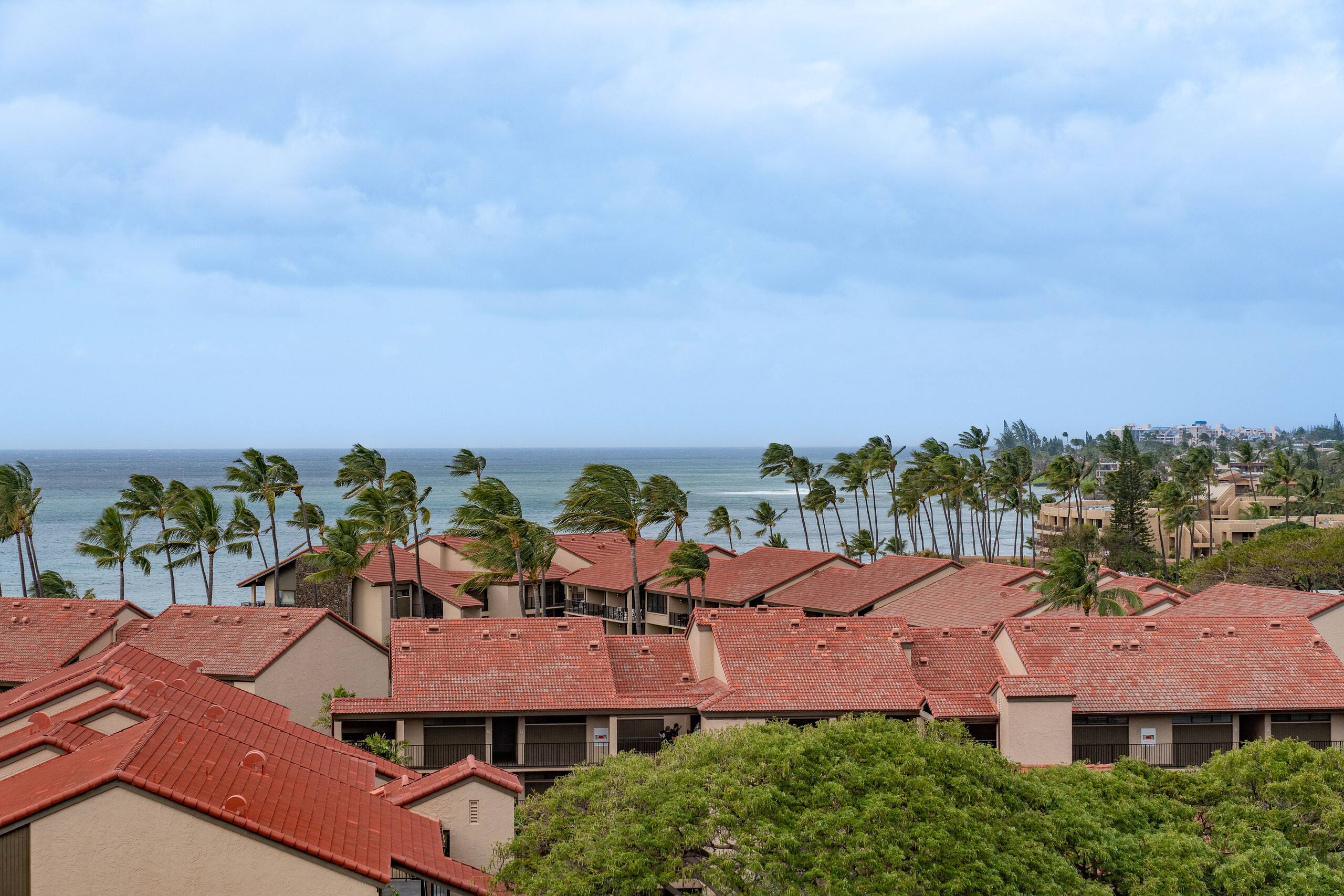 Condo in Lahaina · ★4.81 · 1 bedroom · 2 beds · 1 bath - Image 27