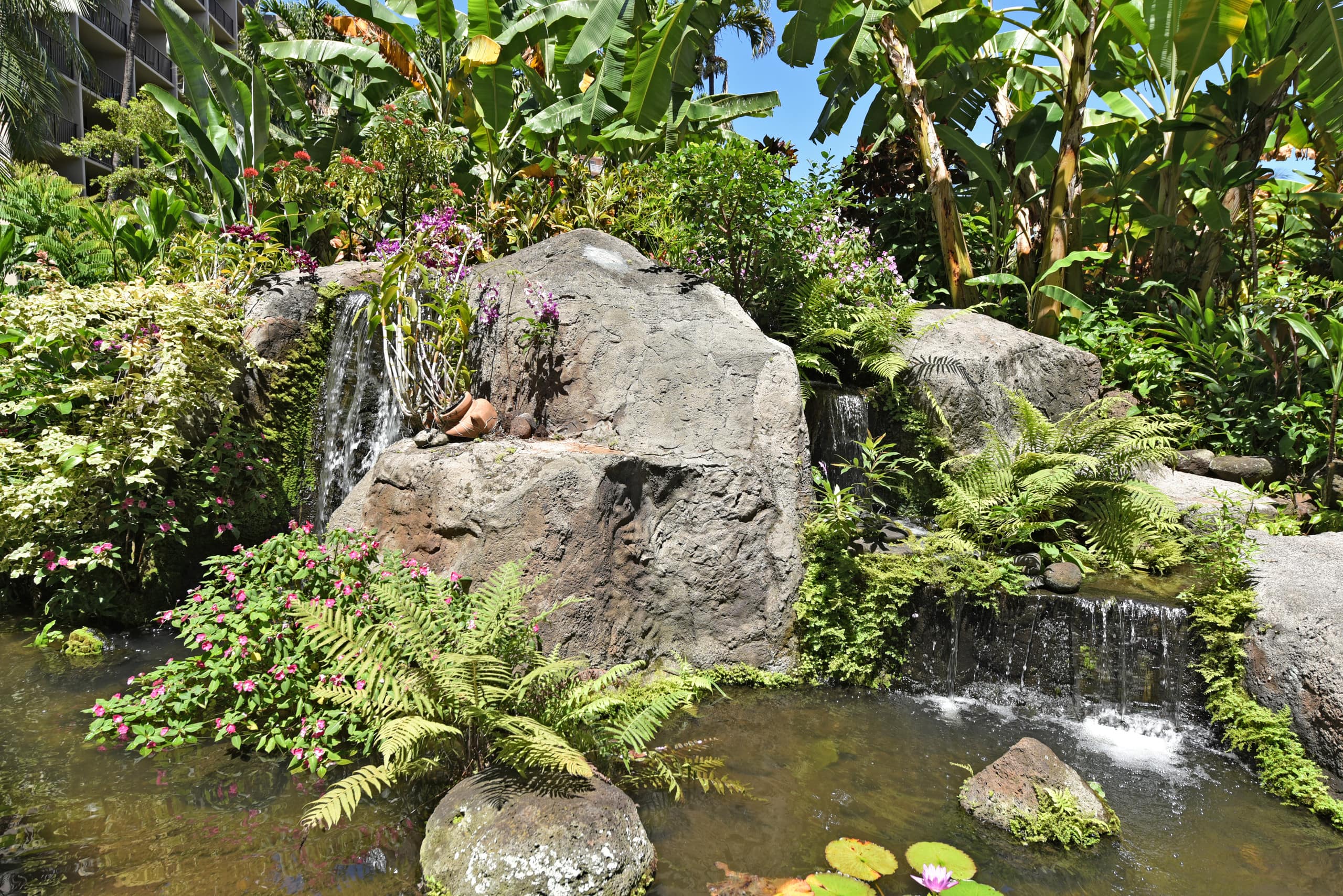 Condo in Lahaina · ★4.81 · 1 bedroom · 2 beds · 1 bath - Image 28