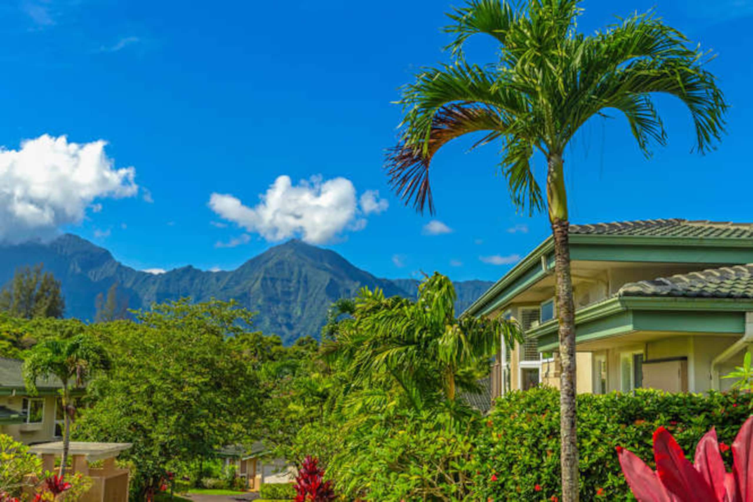 Luxury Gated Community in Princeville Resort - Photo 9