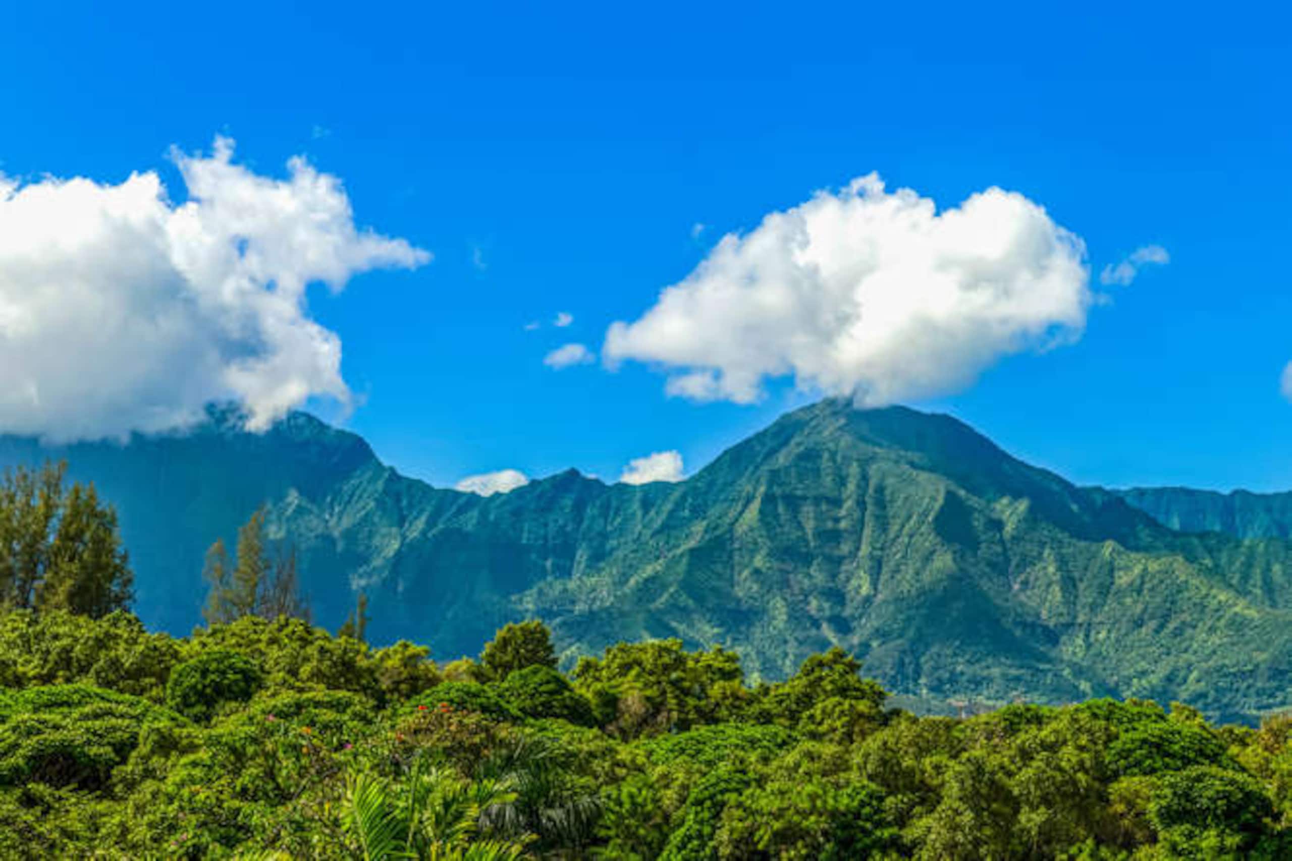 Luxury Gated Community in Princeville Resort - Photo 6