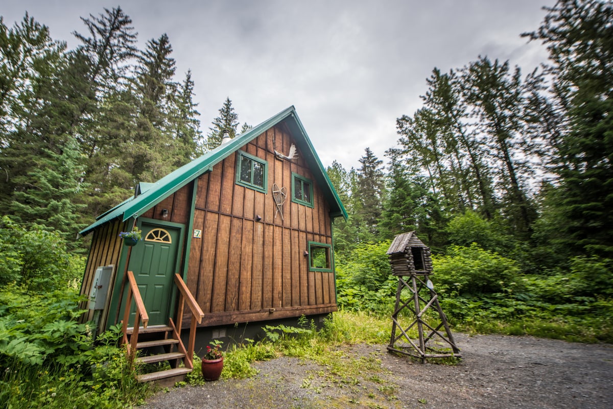 A rustic cabin exterior is surrounded by lush greenery in a serene forest setting. The structure features a sloped roof with a green overhang, large windows allowing natural light, and a set of wooden steps leading to a charming green front door.