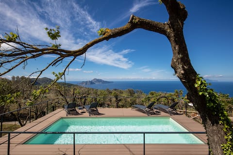 Villa Aprea: Panoramic Capri Views and Concierge