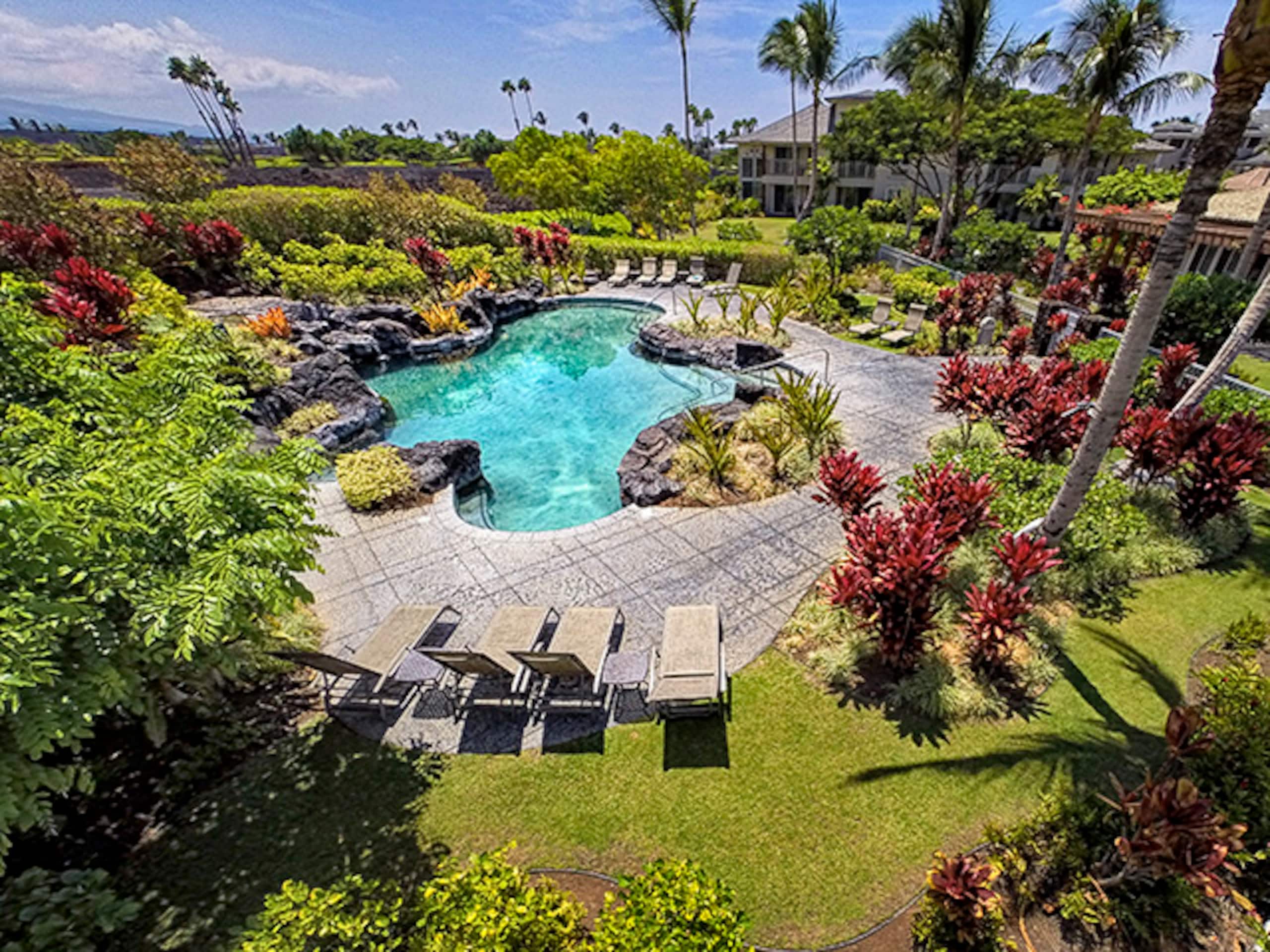 Luxury 2BR/2BA penthouse, Walk to beach - Photo 2