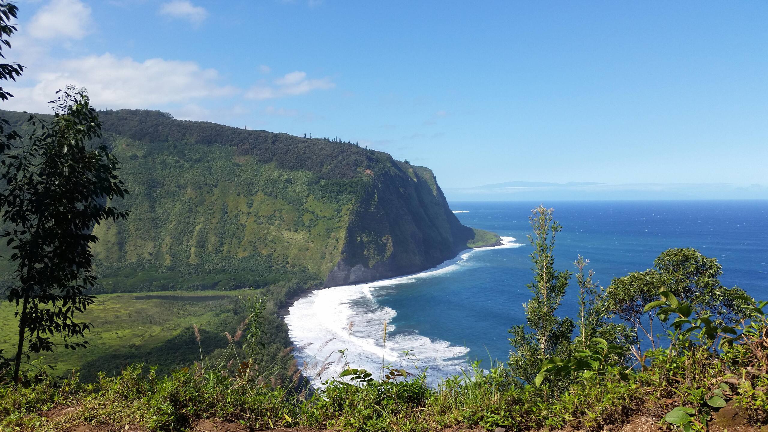 Condo in Hilo · ★4.24 · 2 bedrooms · 3 beds · 1 bath - Image 45